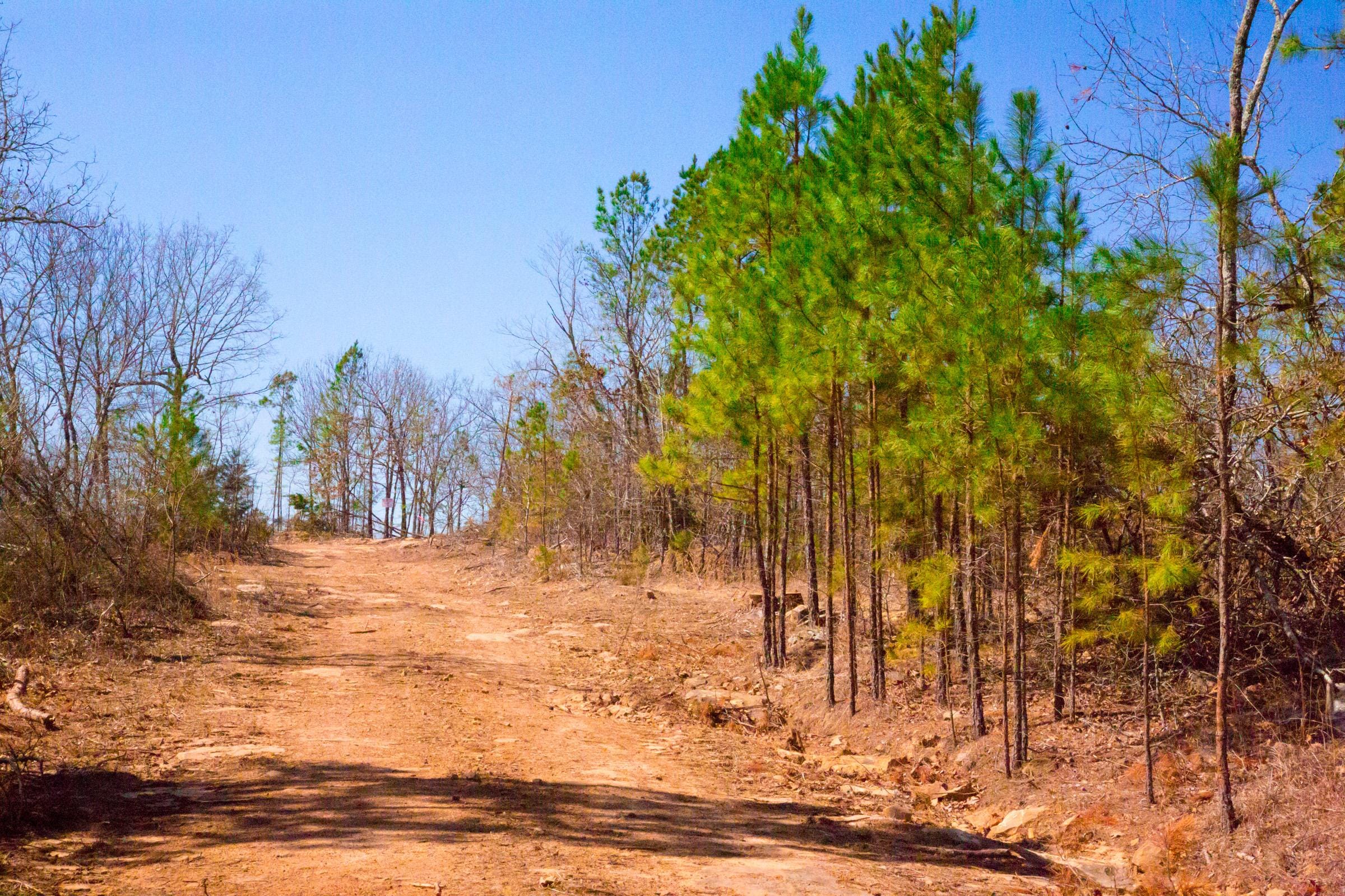 Stone Creek Phase II Tract 136 photo 10