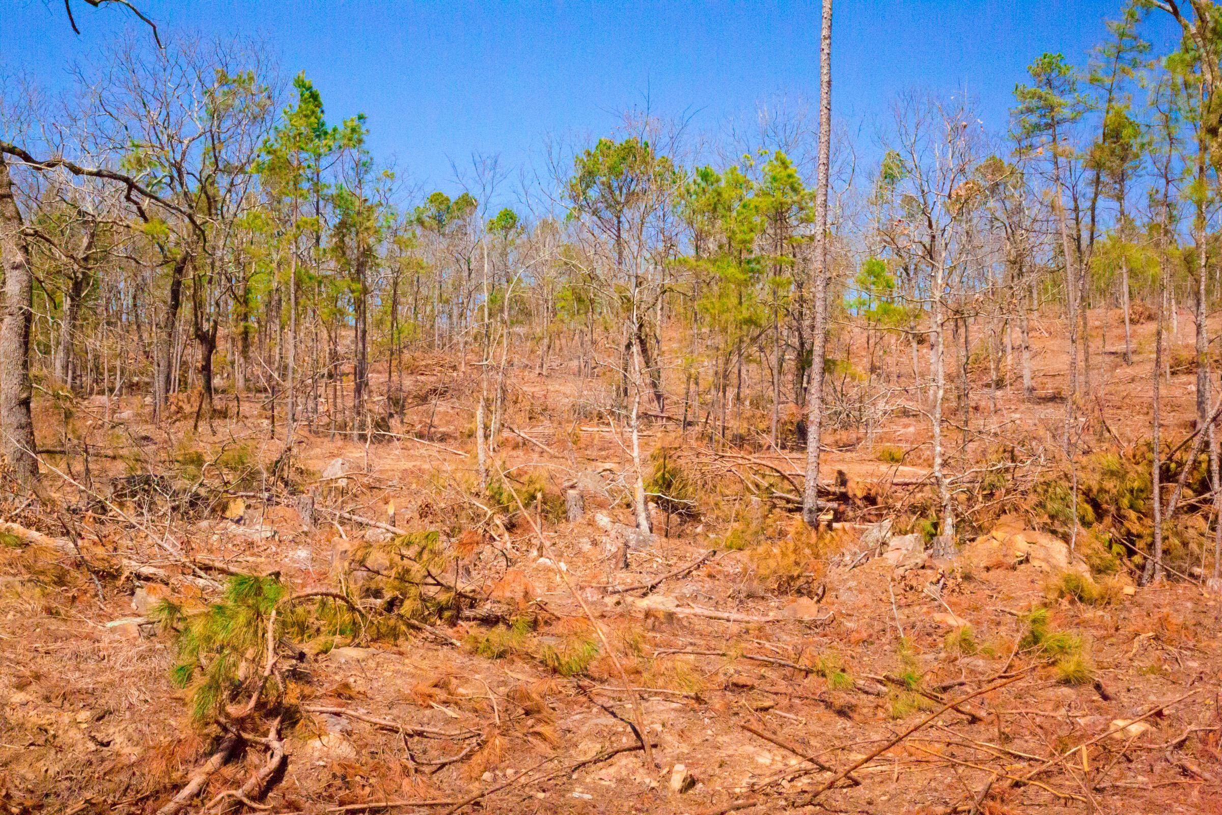Stone Creek Phase II Tract 136 photo 11