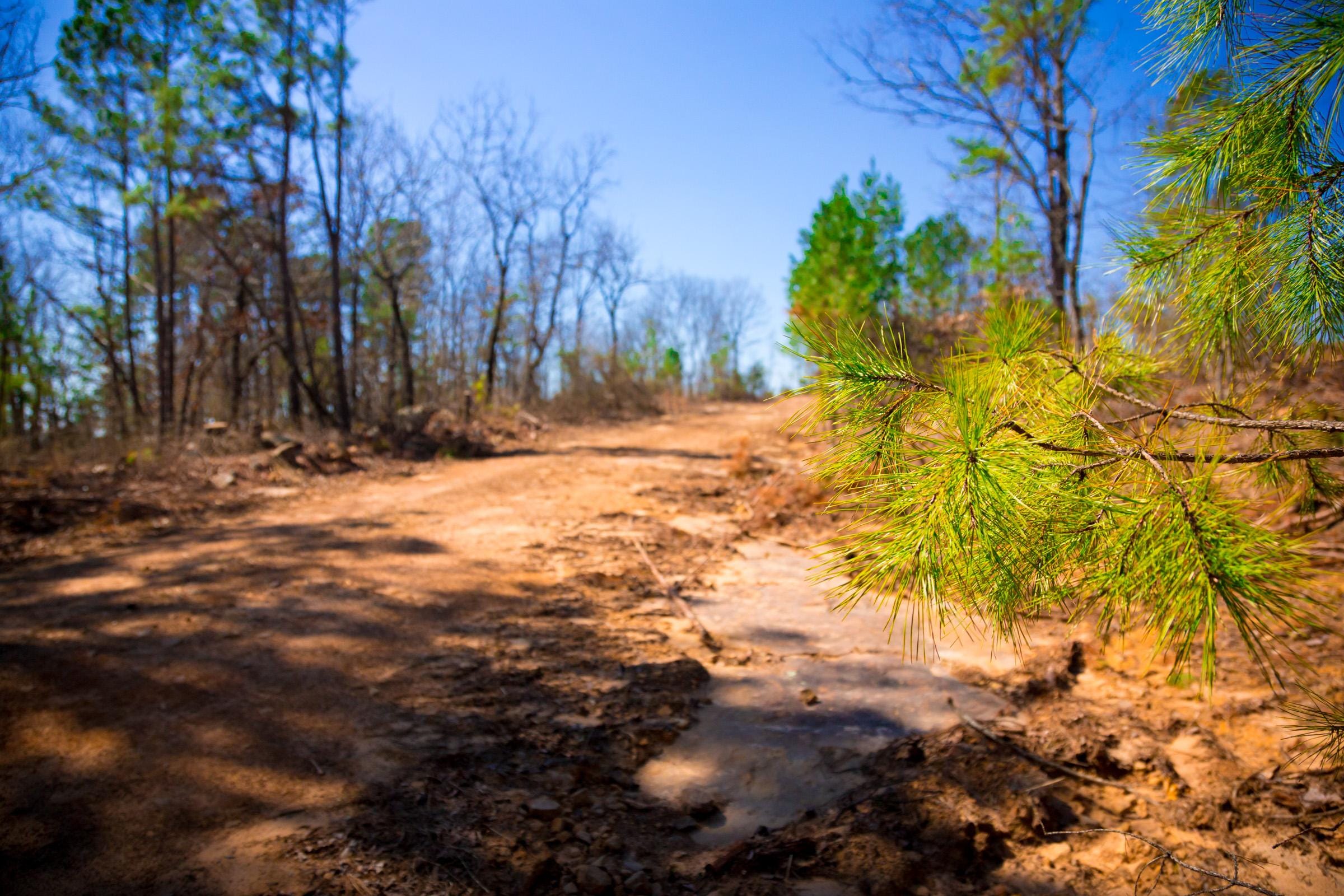 Stone Creek Phase II Tract 136 photo 12