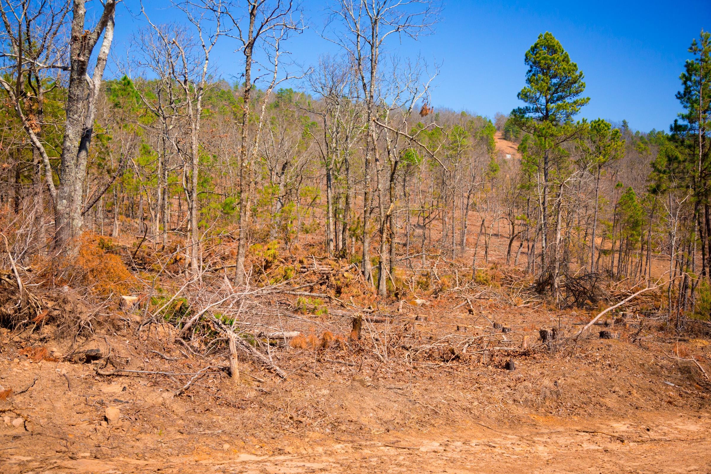 Stone Creek Phase II Tract 136 photo 13
