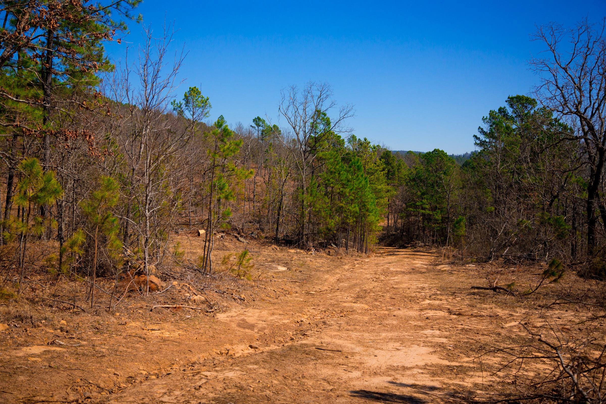Stone Creek Phase II Tract 136 photo 14