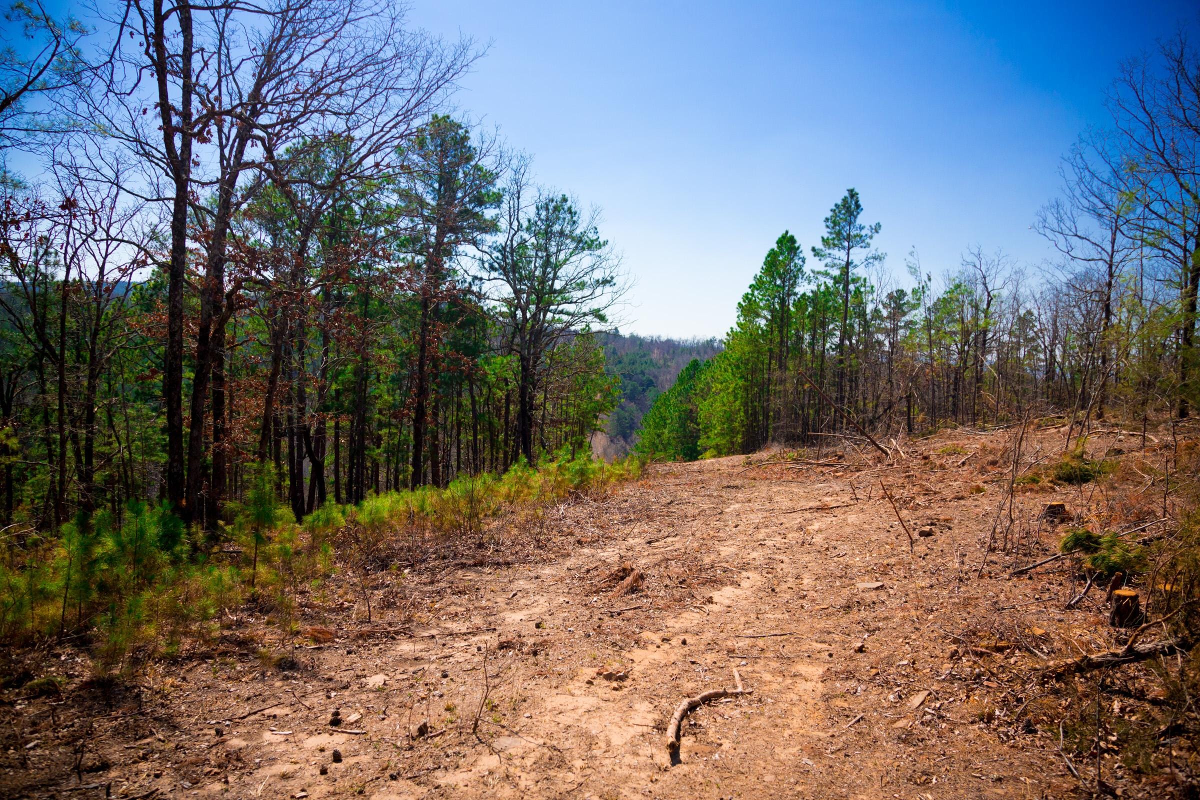 Stone Creek Phase II Tract 136 photo 15