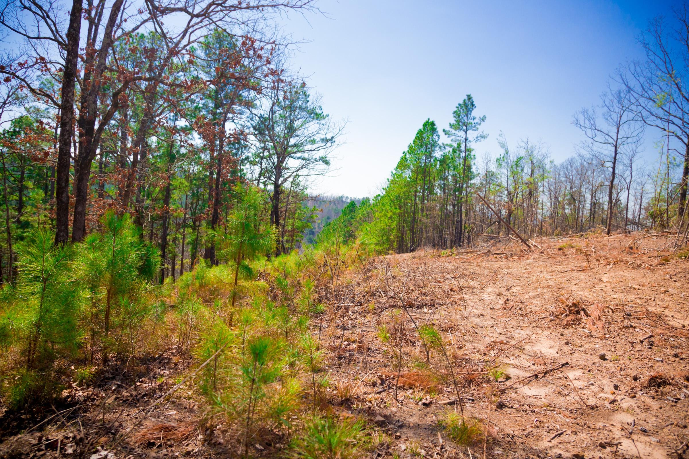 Stone Creek Phase II Tract 136 photo 16