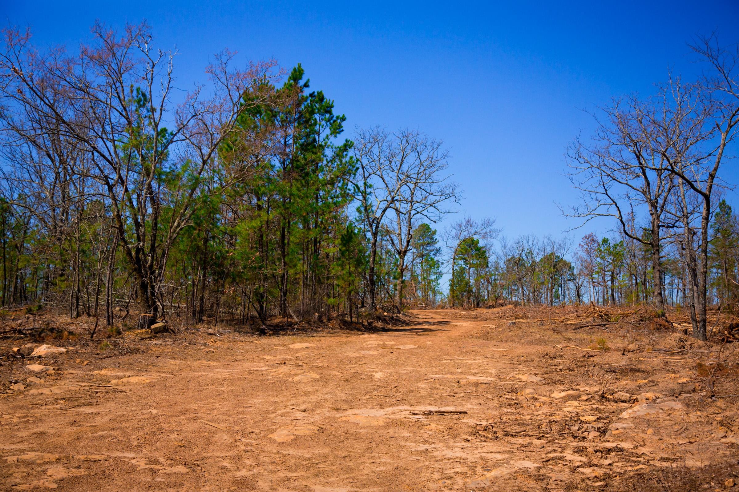 Stone Creek Phase II Tract 136 photo 17