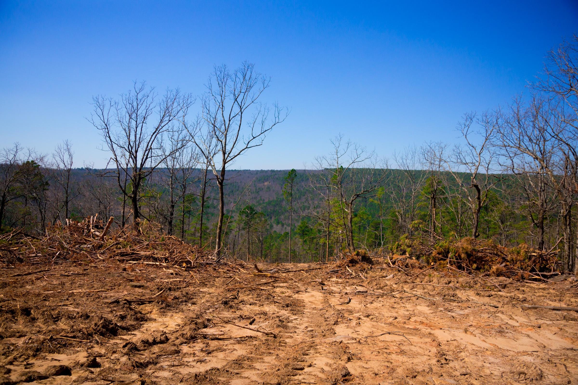 Stone Creek Phase II Tract 136 photo 18