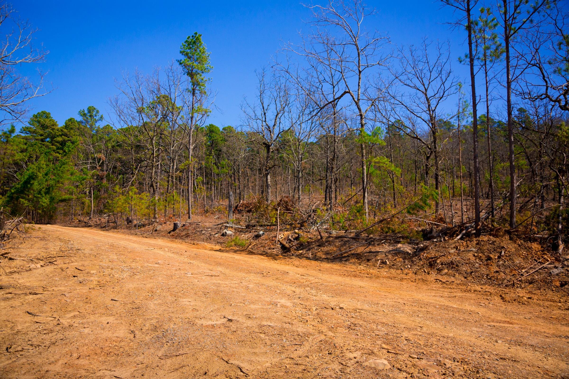 Stone Creek Phase II Tract 136 photo 19