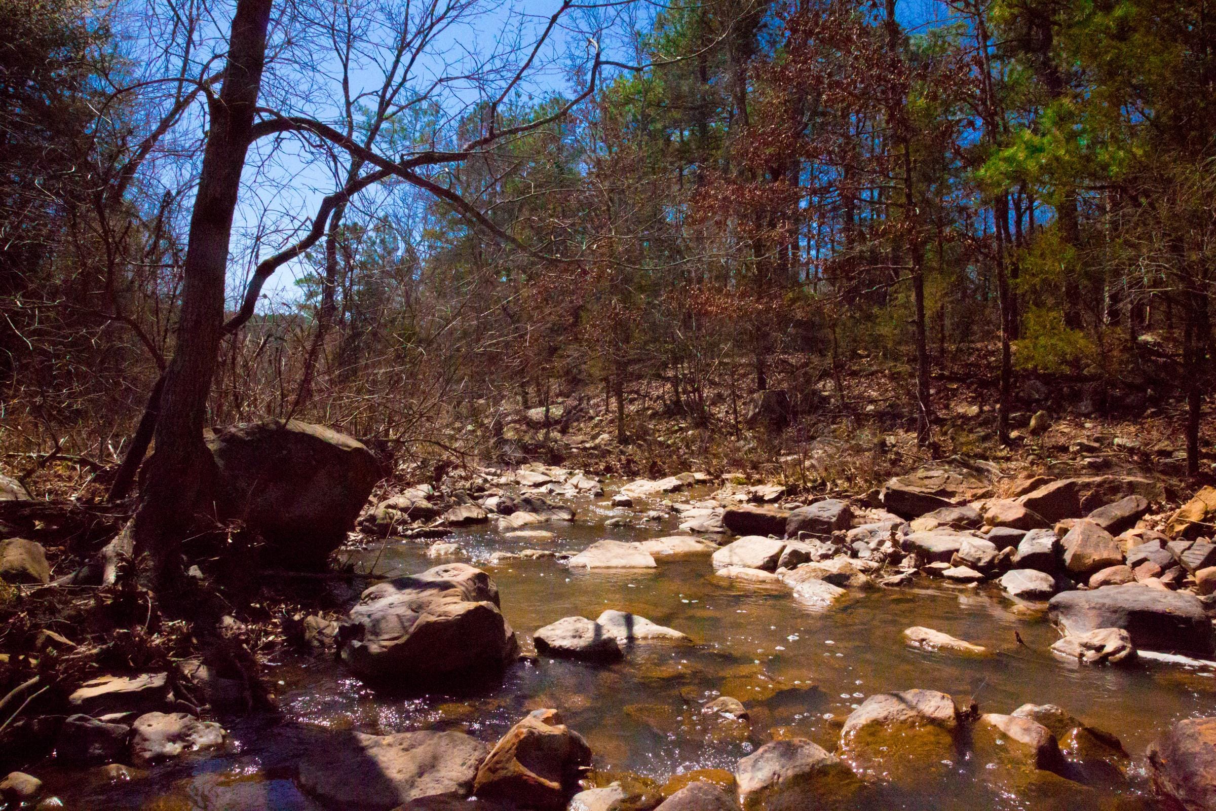 Stone Creek Phase II Tract 136 photo 20