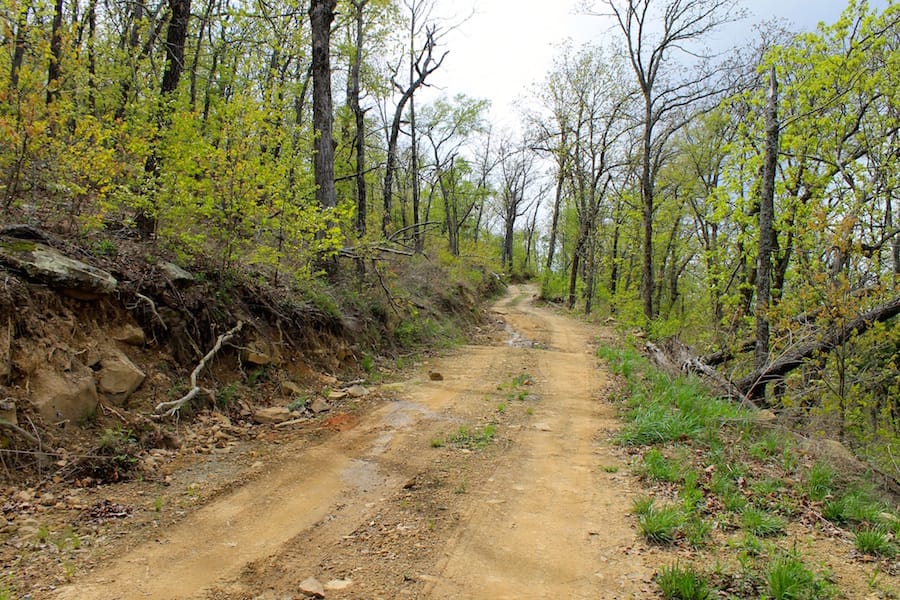 Trophy Ridge Phase III Tract 53 photo 1