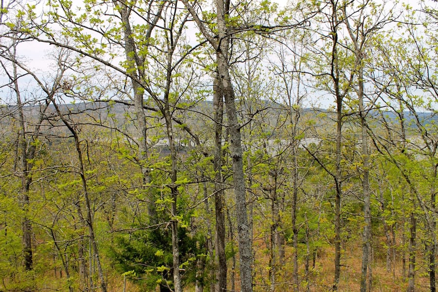 Trophy Ridge Phase III Tract 53 photo 2