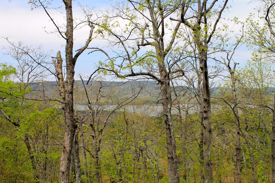 Trophy Ridge Phase III Tract 53 photo 21
