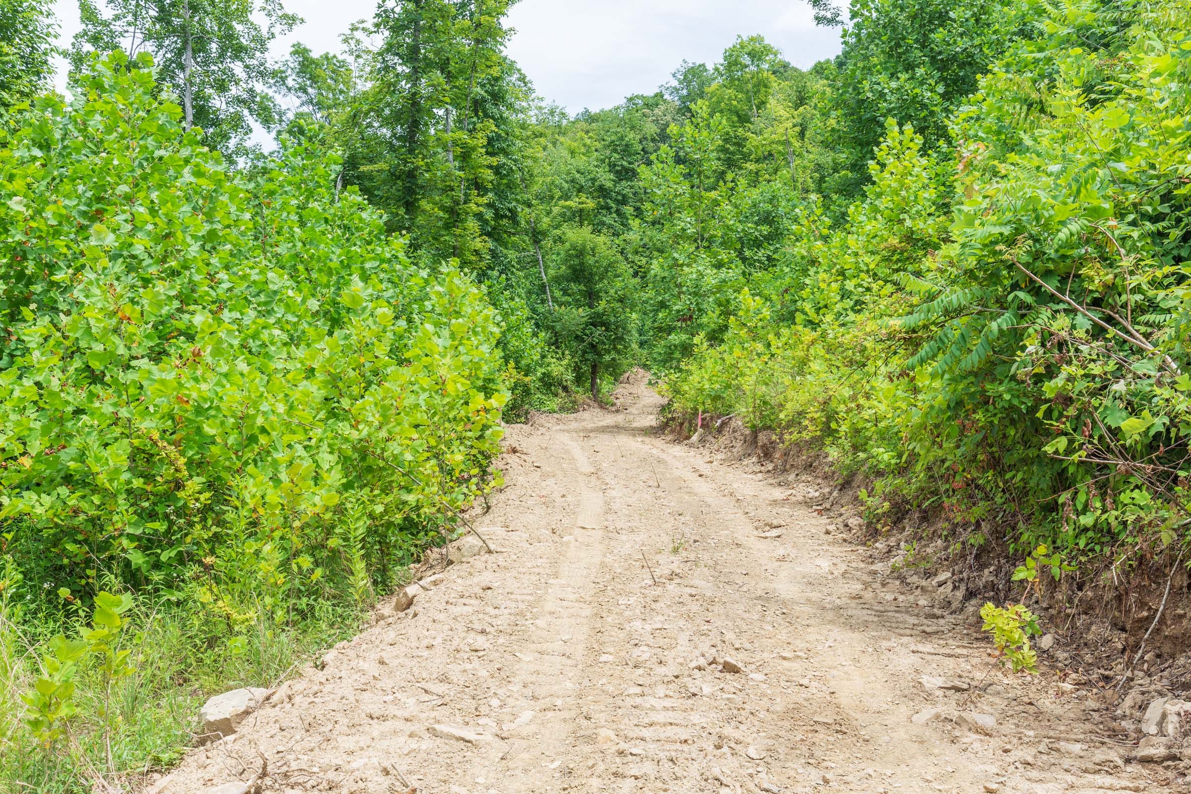 River’s Edge Tract 14 photo 1