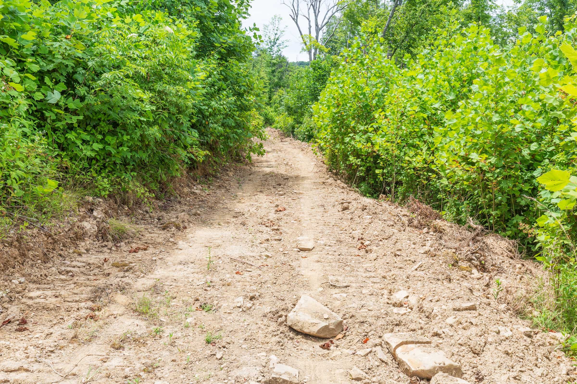 River’s Edge Tract 14 photo 8