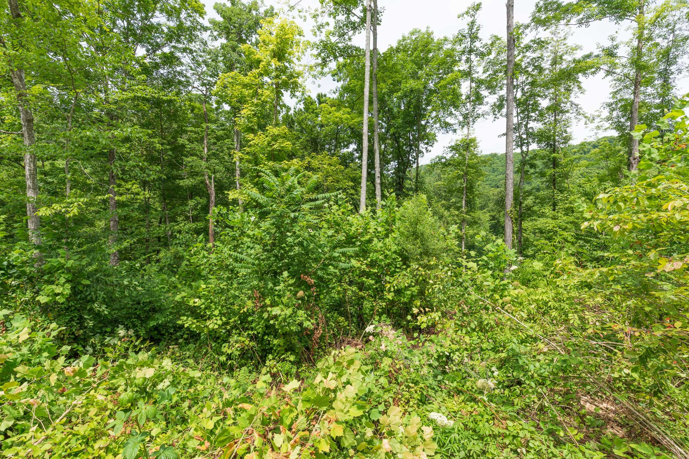 River’s Edge Tract 14 photo 9