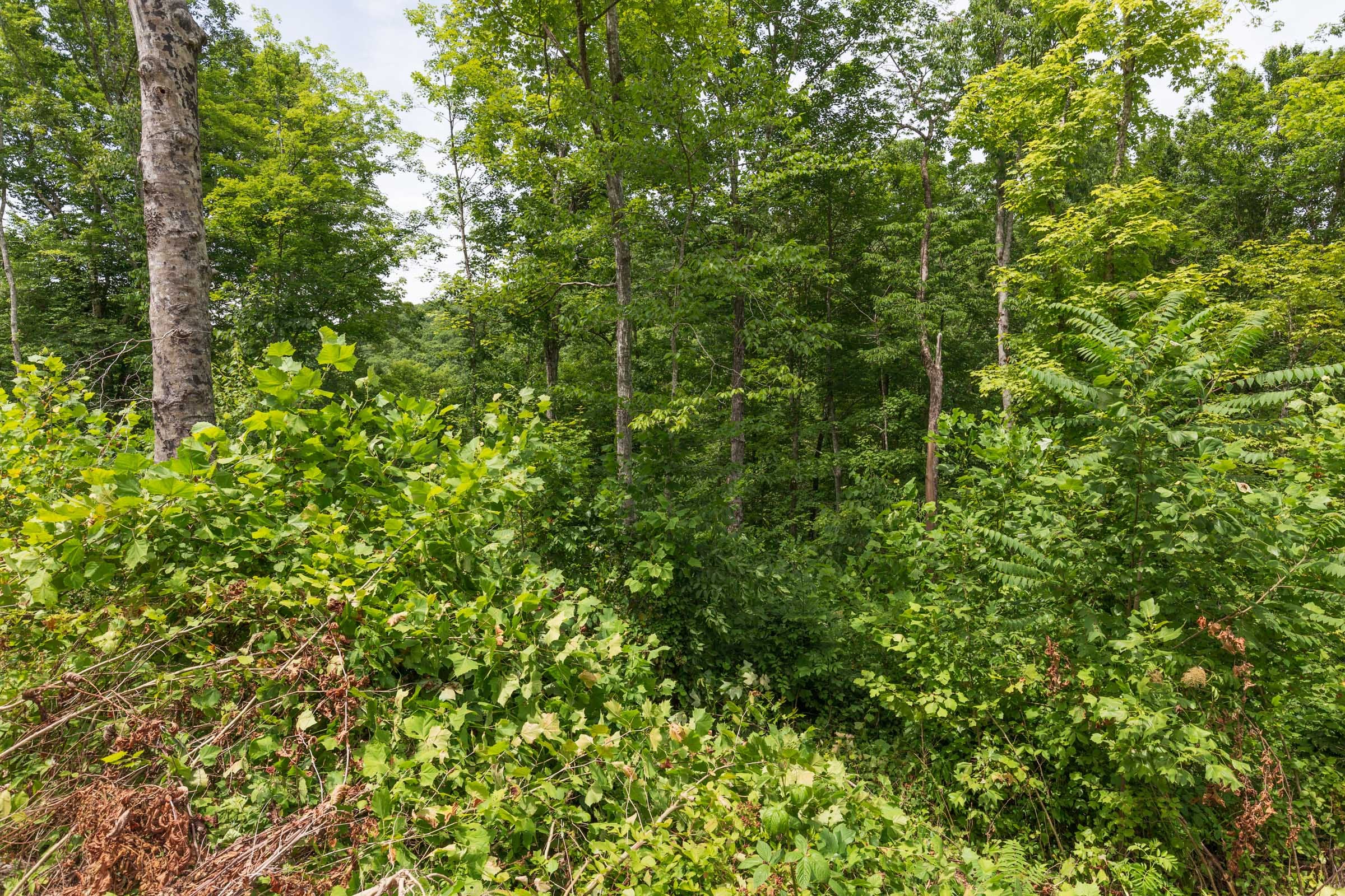 River’s Edge Tract 14 photo 10