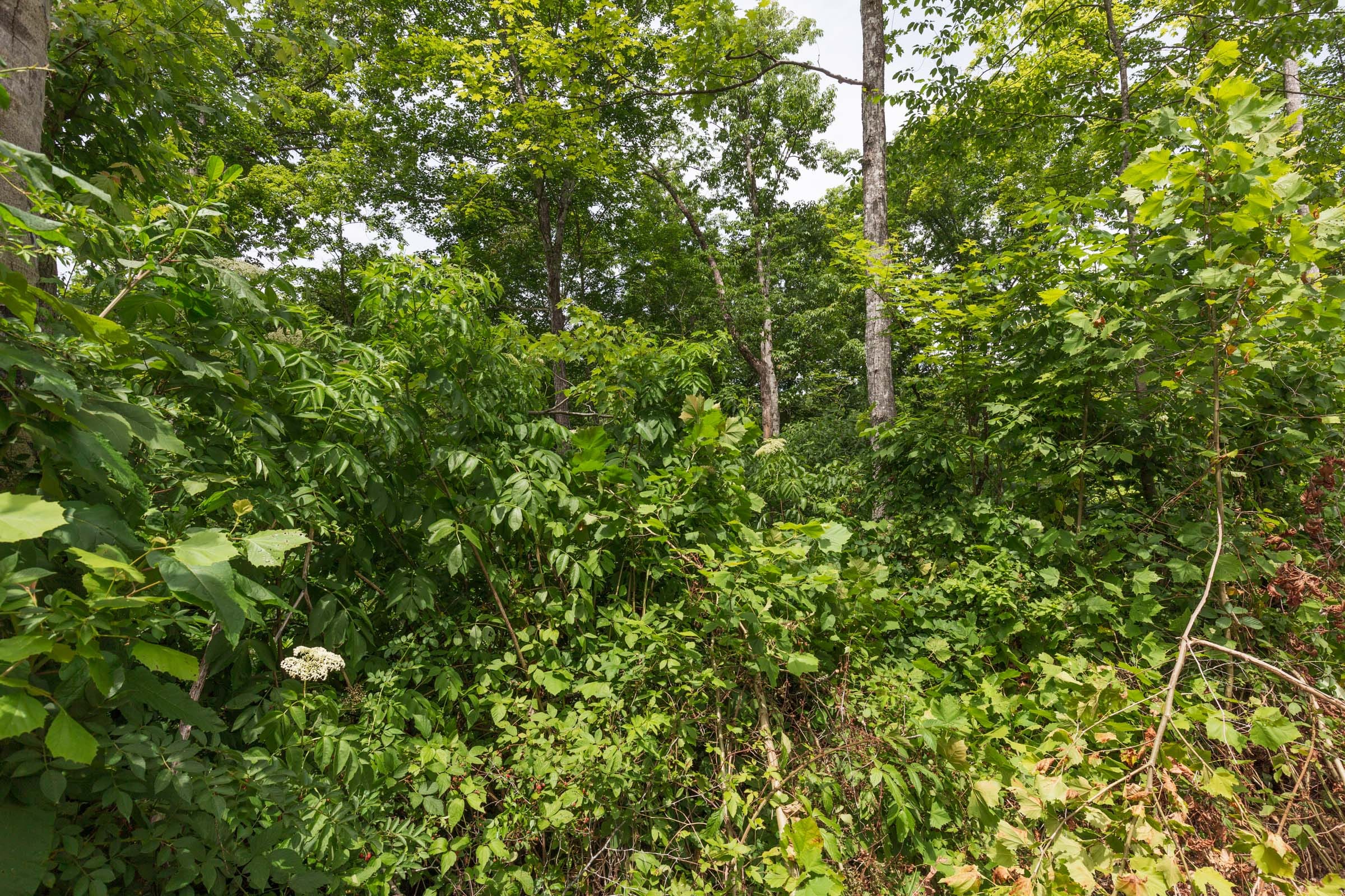 River’s Edge Tract 14 photo 11