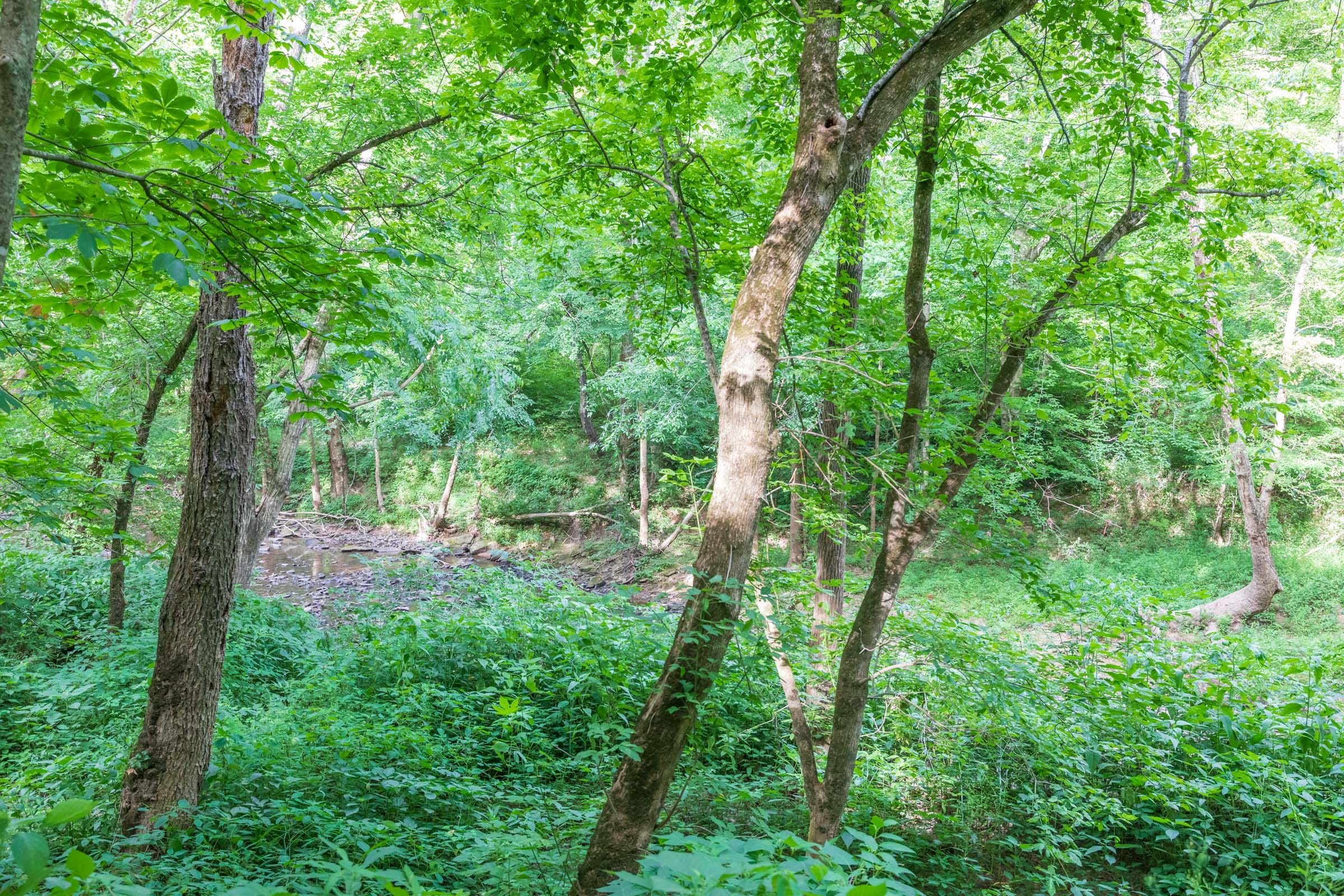 River’s Edge Tract 14 photo 12