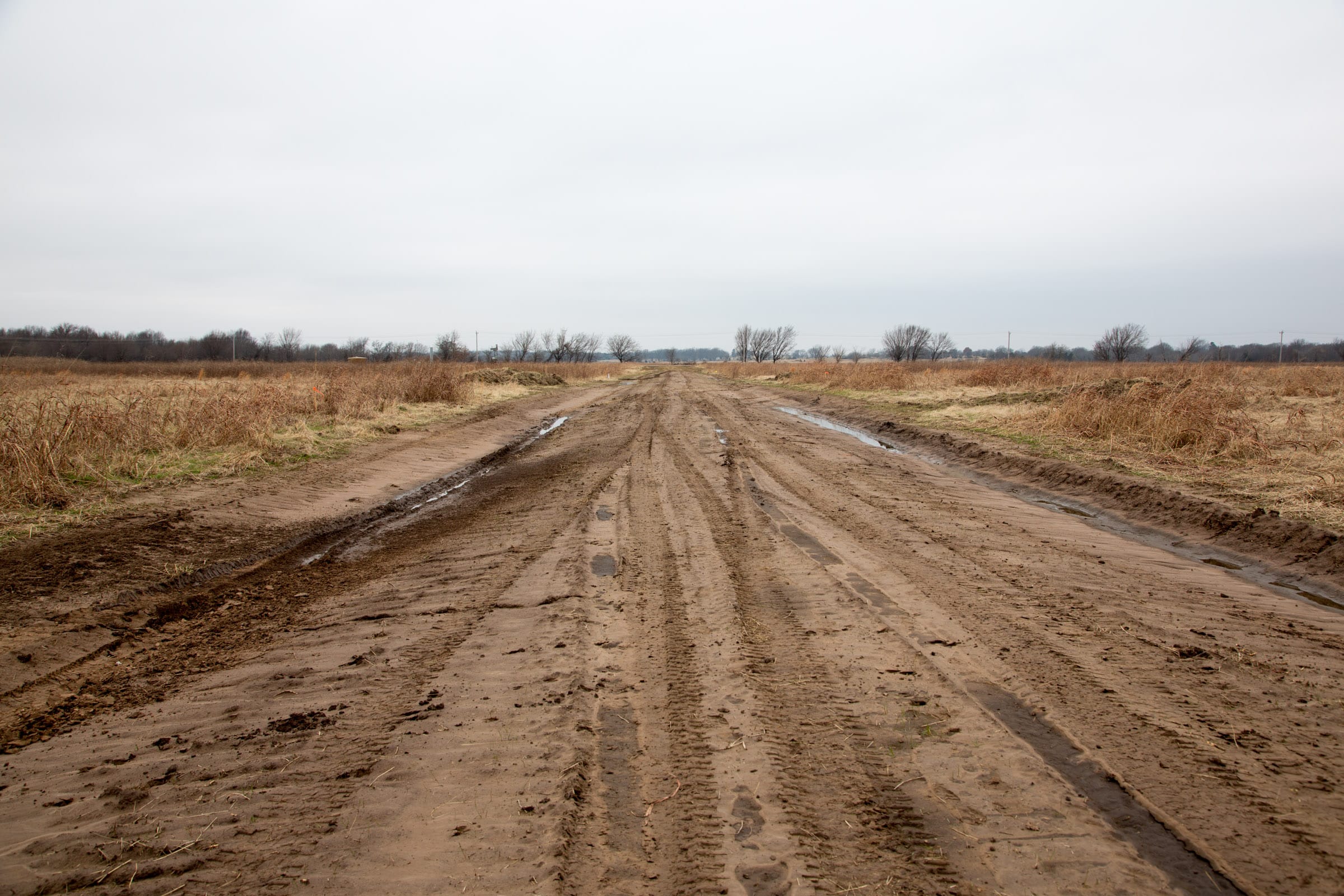 Canadian Plains Tract 23 photo 2