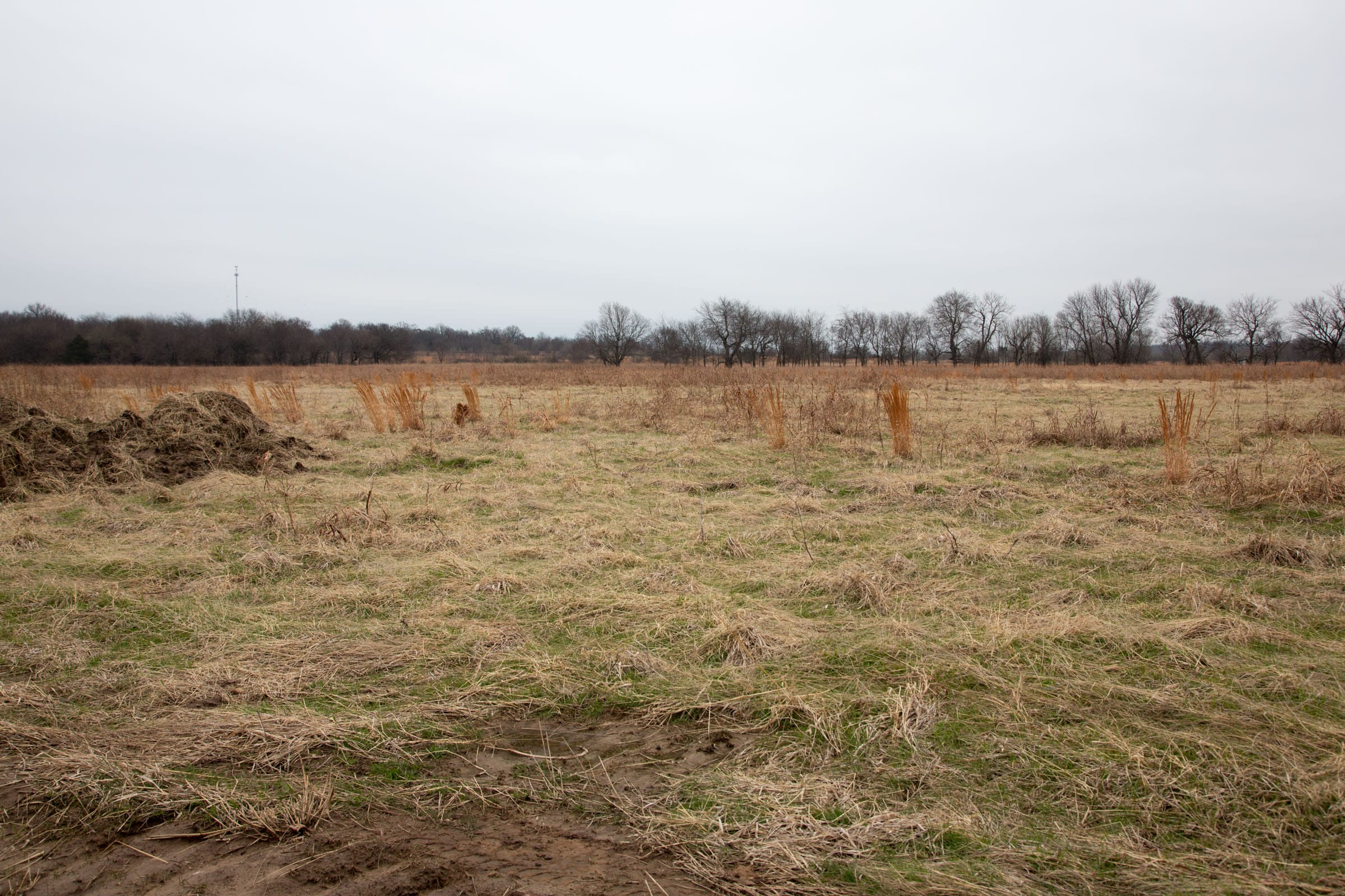 Canadian Plains Tract 23 photo 4