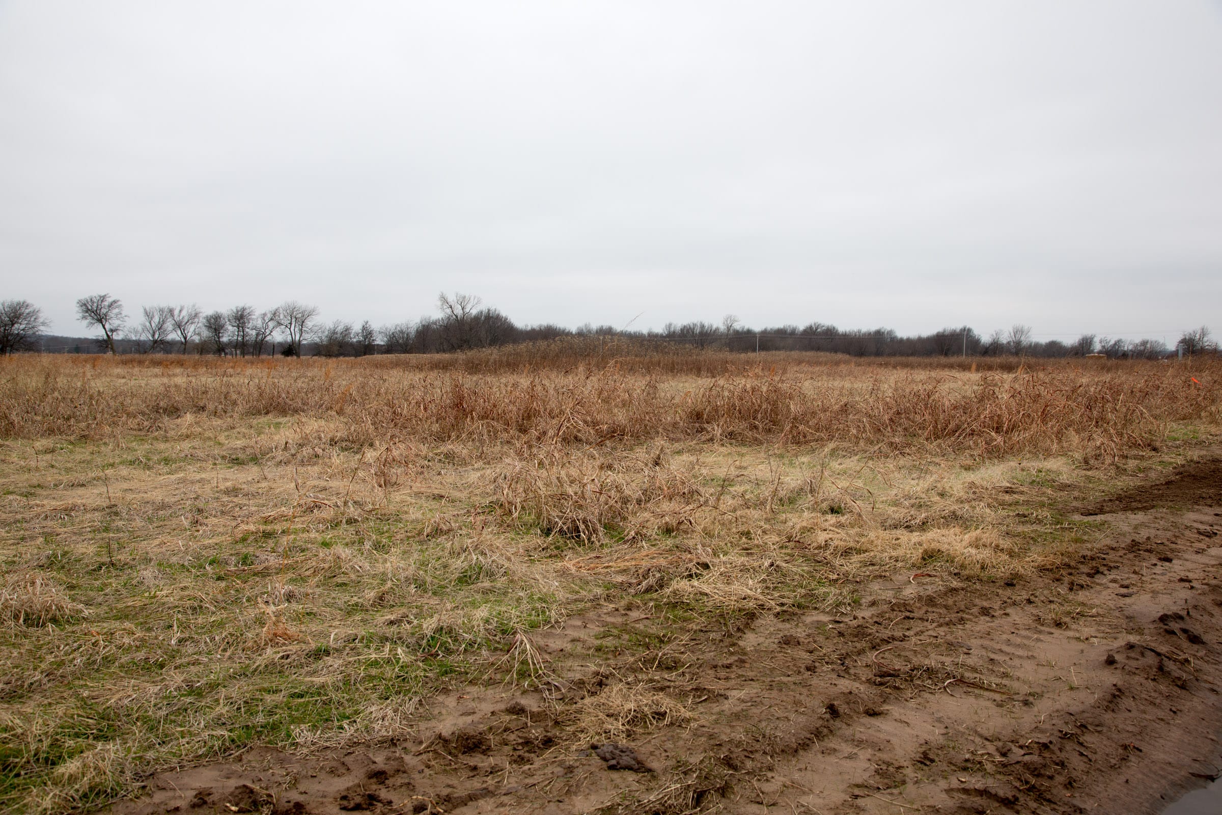 Canadian Plains Tract 23 photo 5