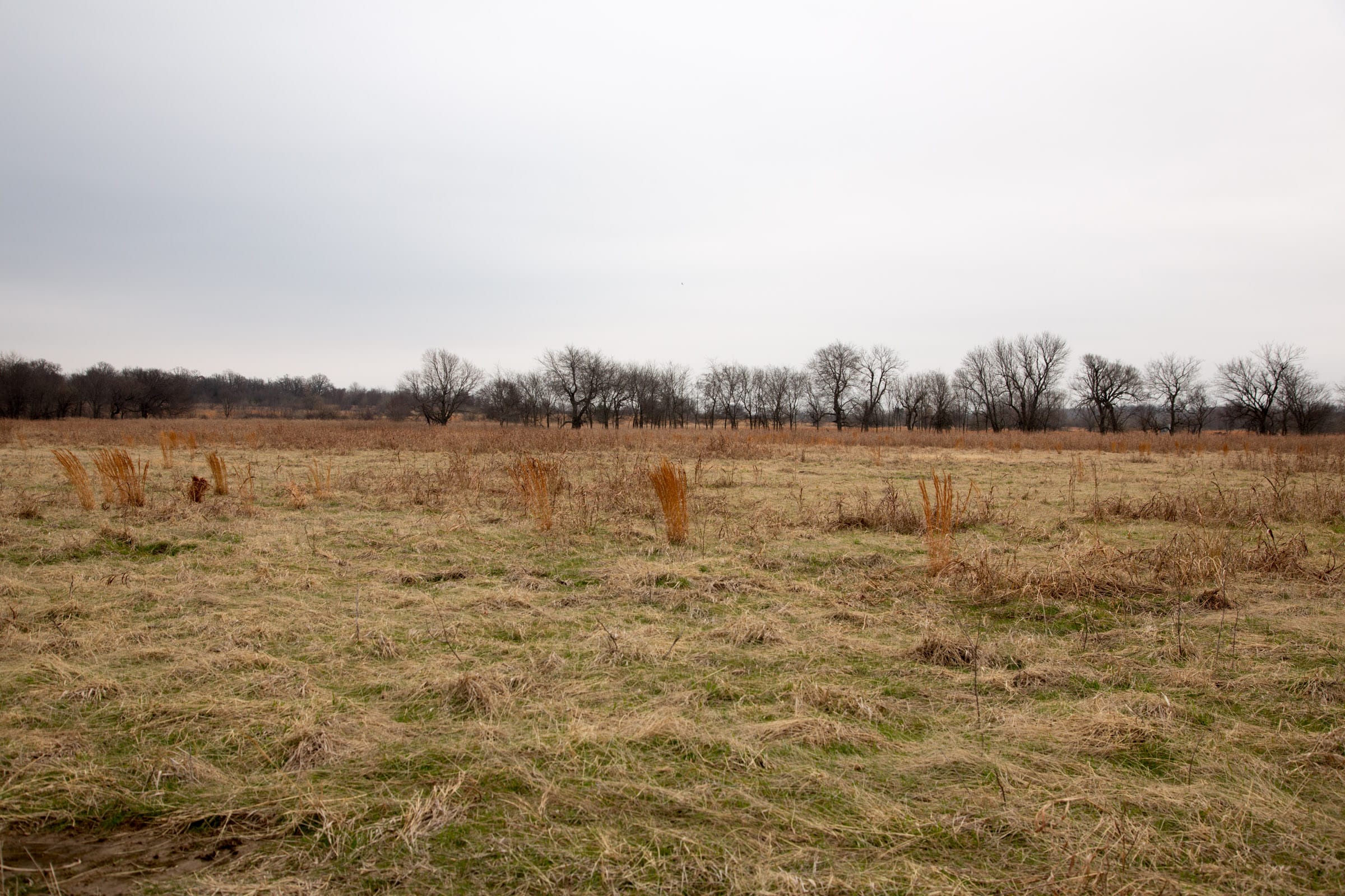 Canadian Plains Tract 23 photo 6