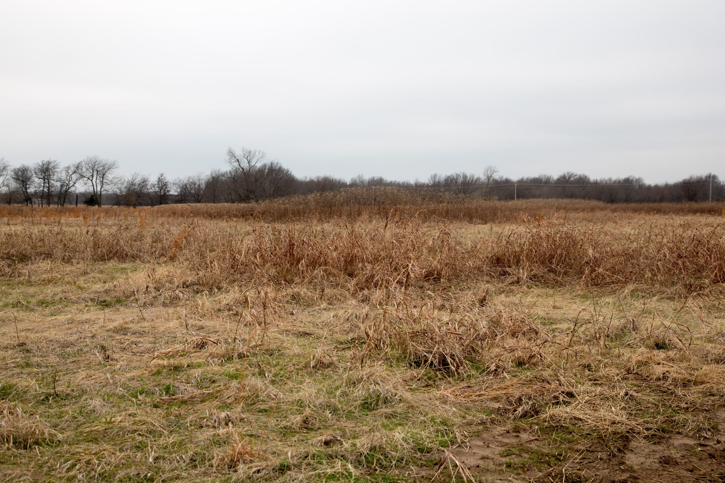 Canadian Plains Tract 23 photo 7