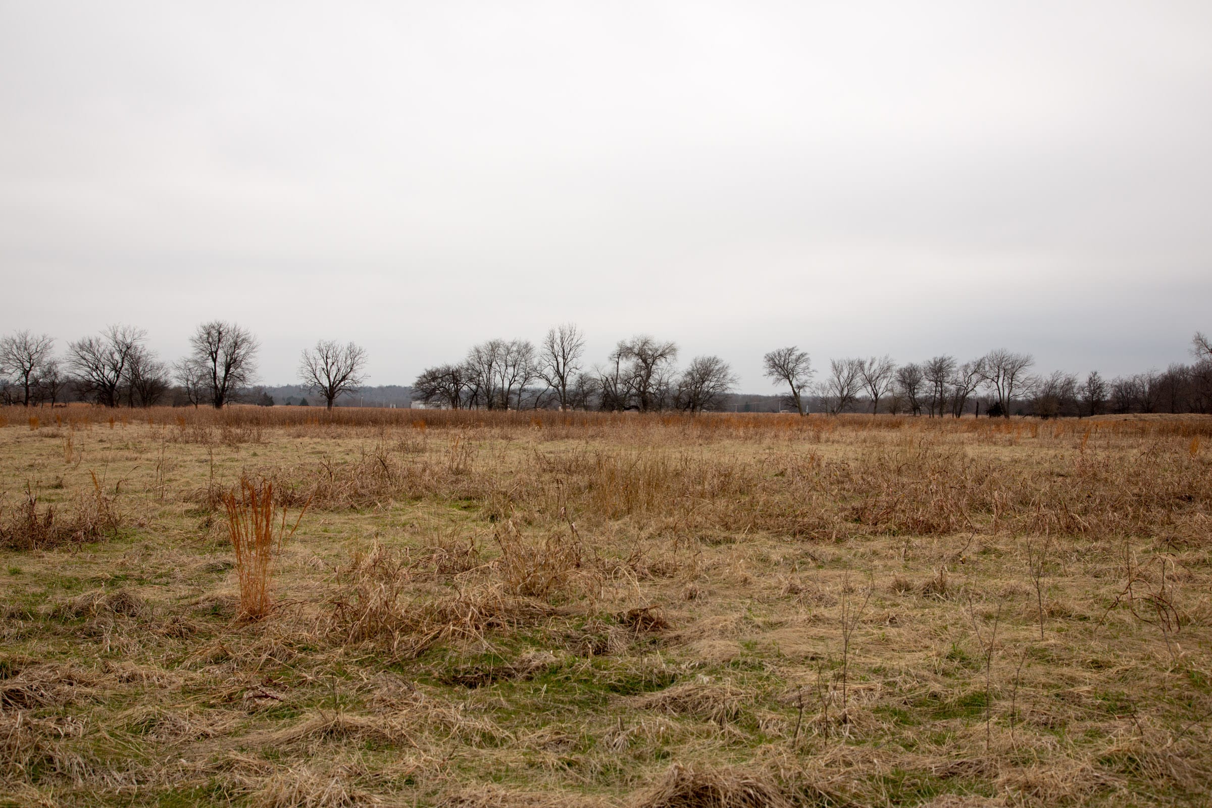 Canadian Plains Tract 23 photo 8