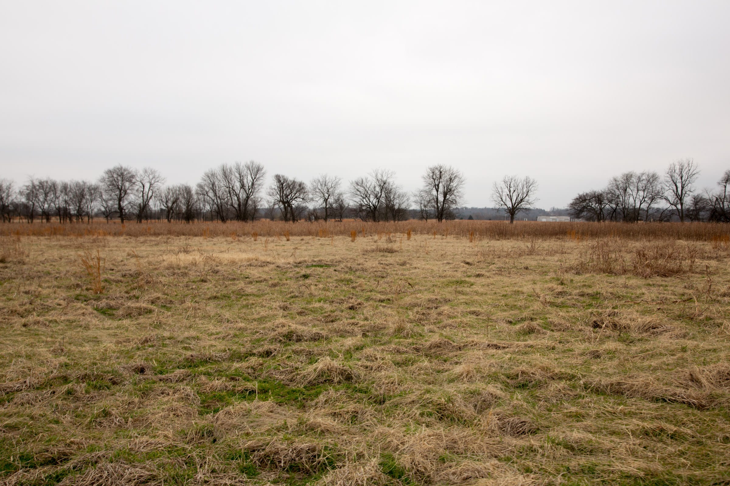 Canadian Plains Tract 23 photo 9