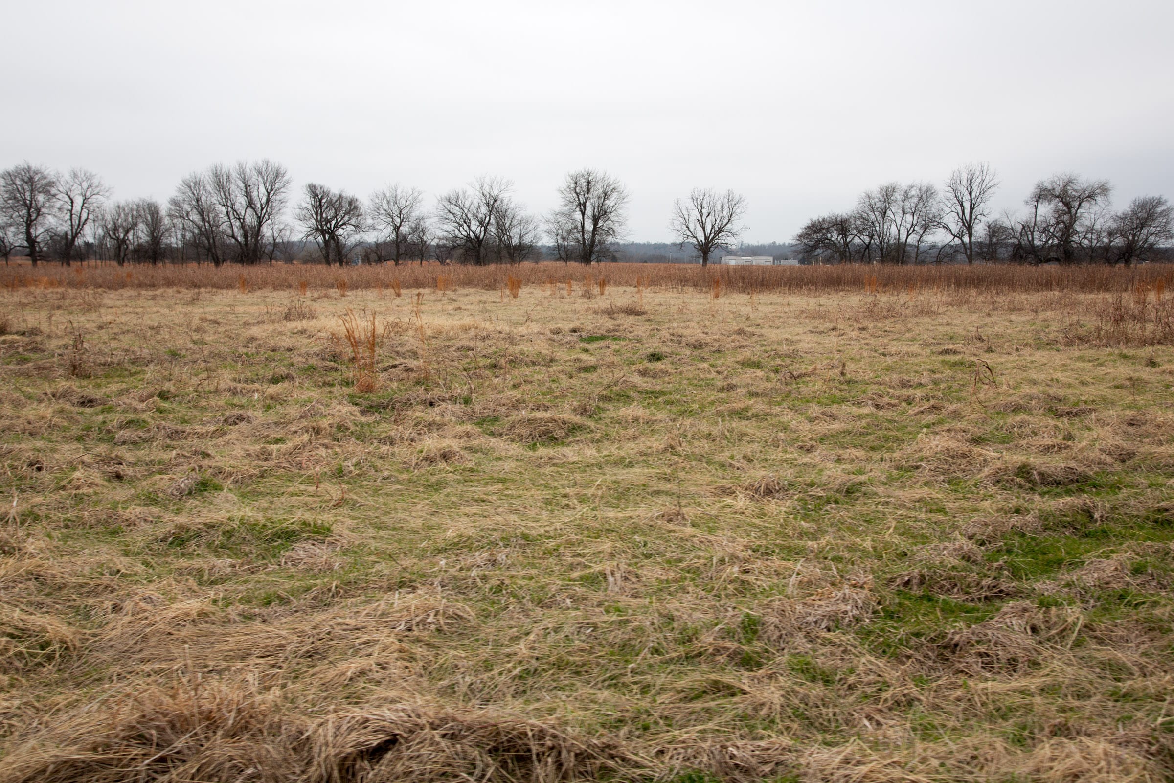 Canadian Plains Tract 23 photo 10