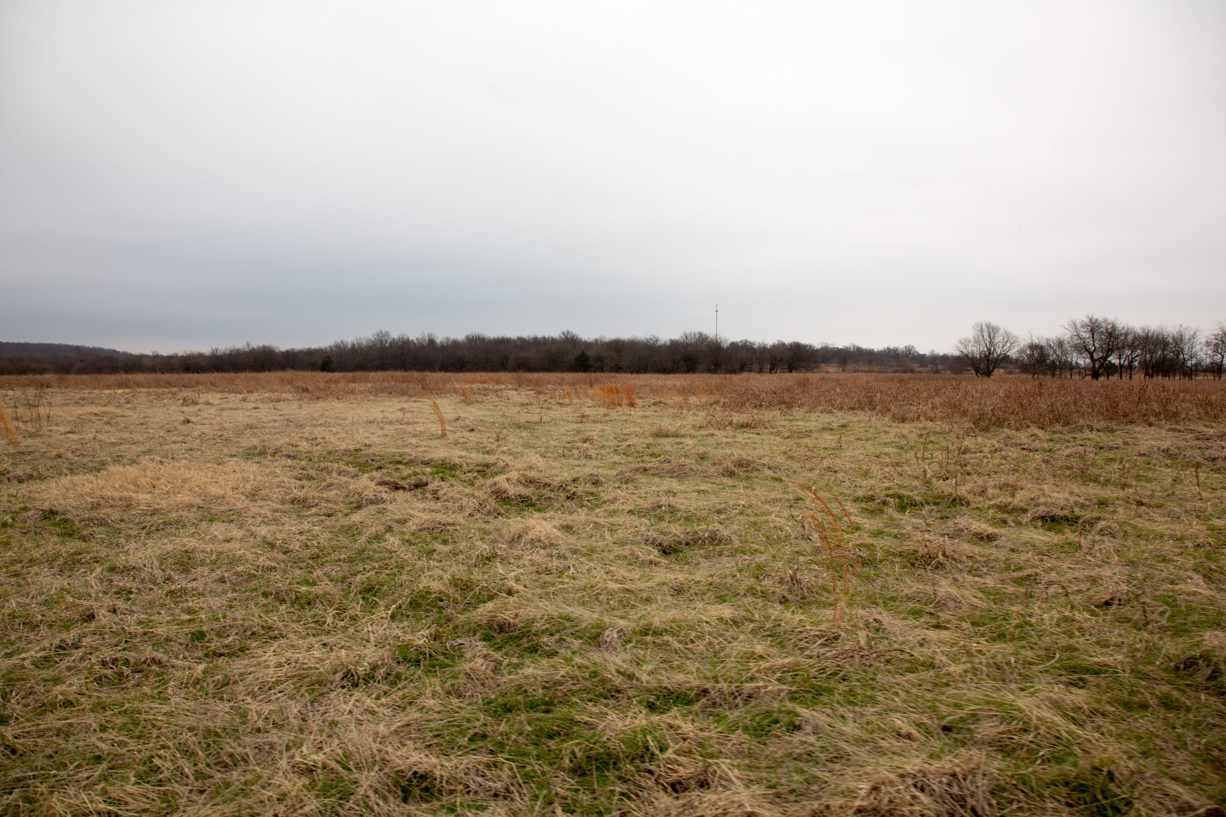 Canadian Plains Tract 23 photo 11