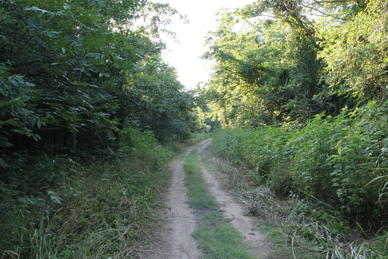 Tahitian Village Tract 677 photo 8