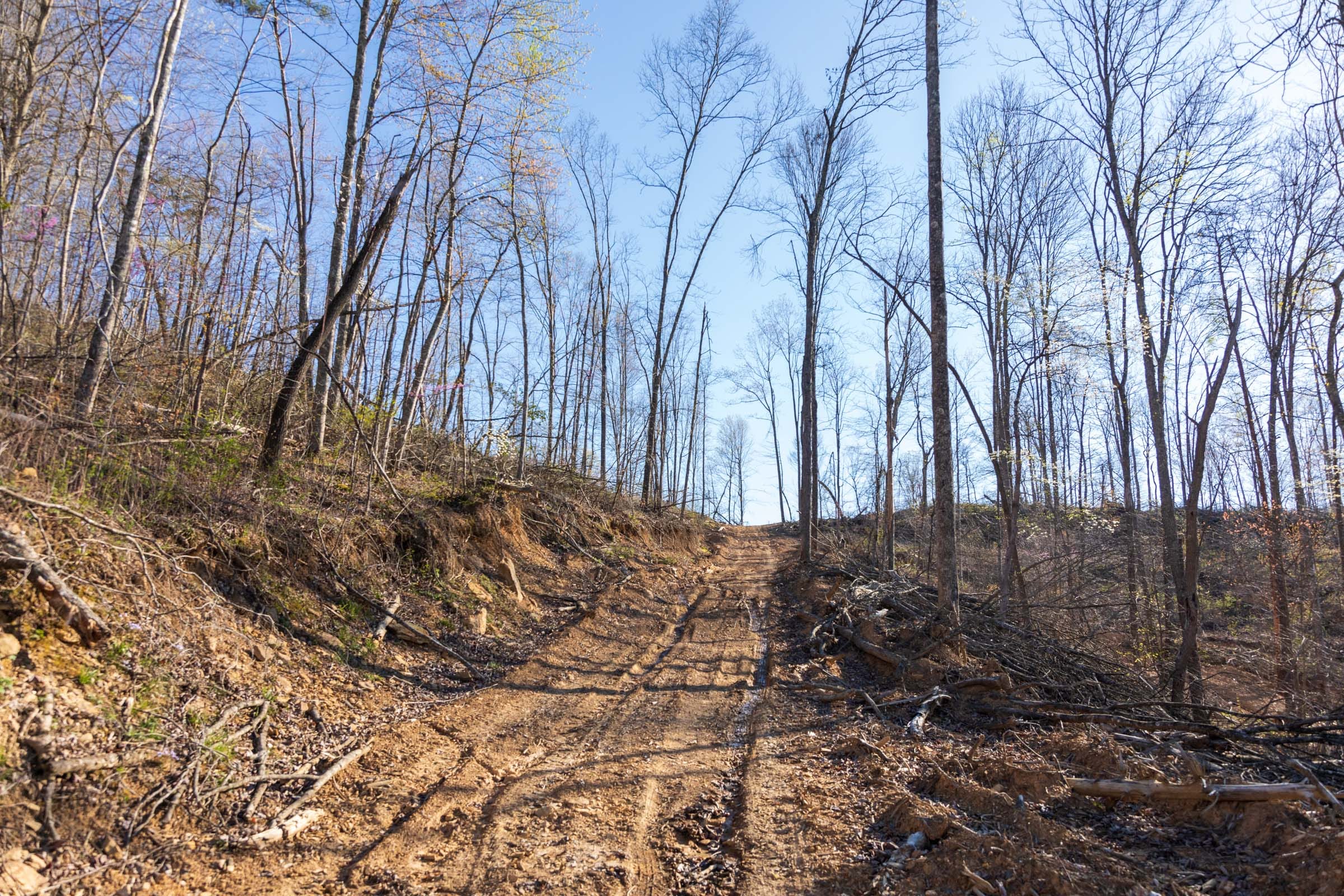 Creek Hollow Phase I Tract 50 photo 4