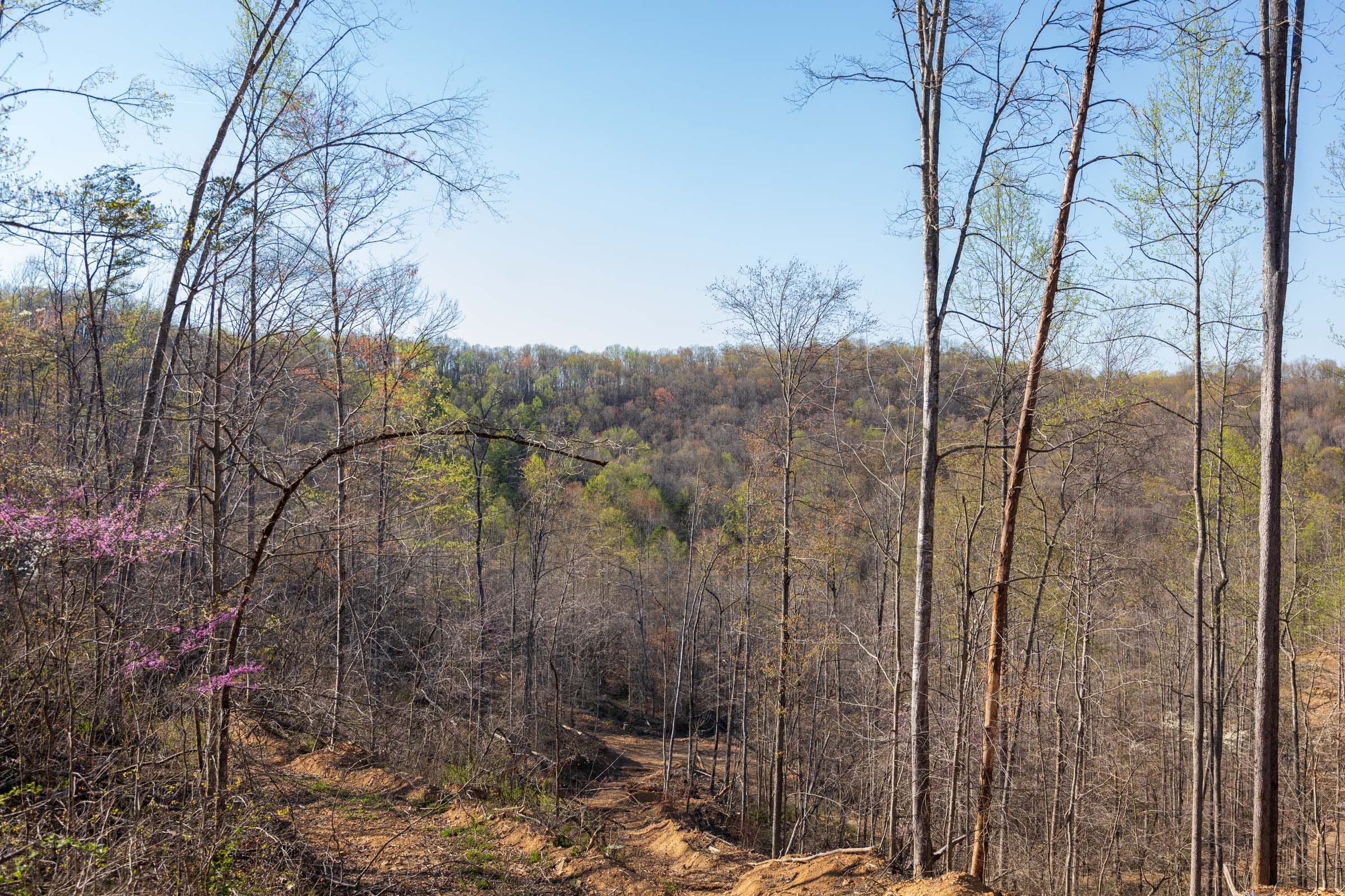 Creek Hollow Phase I Tract 50 photo 2