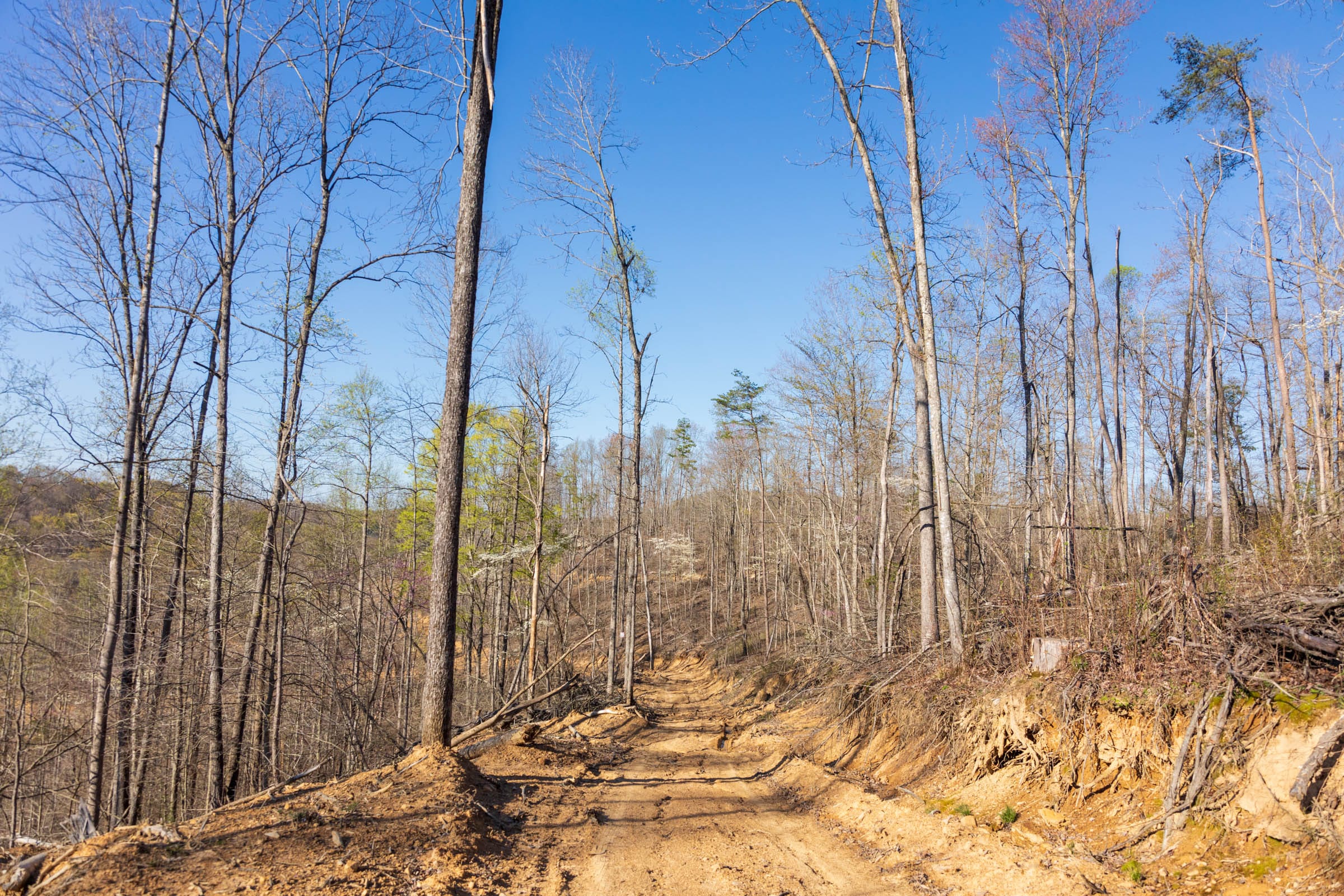 Creek Hollow Phase I Tract 50 photo 1