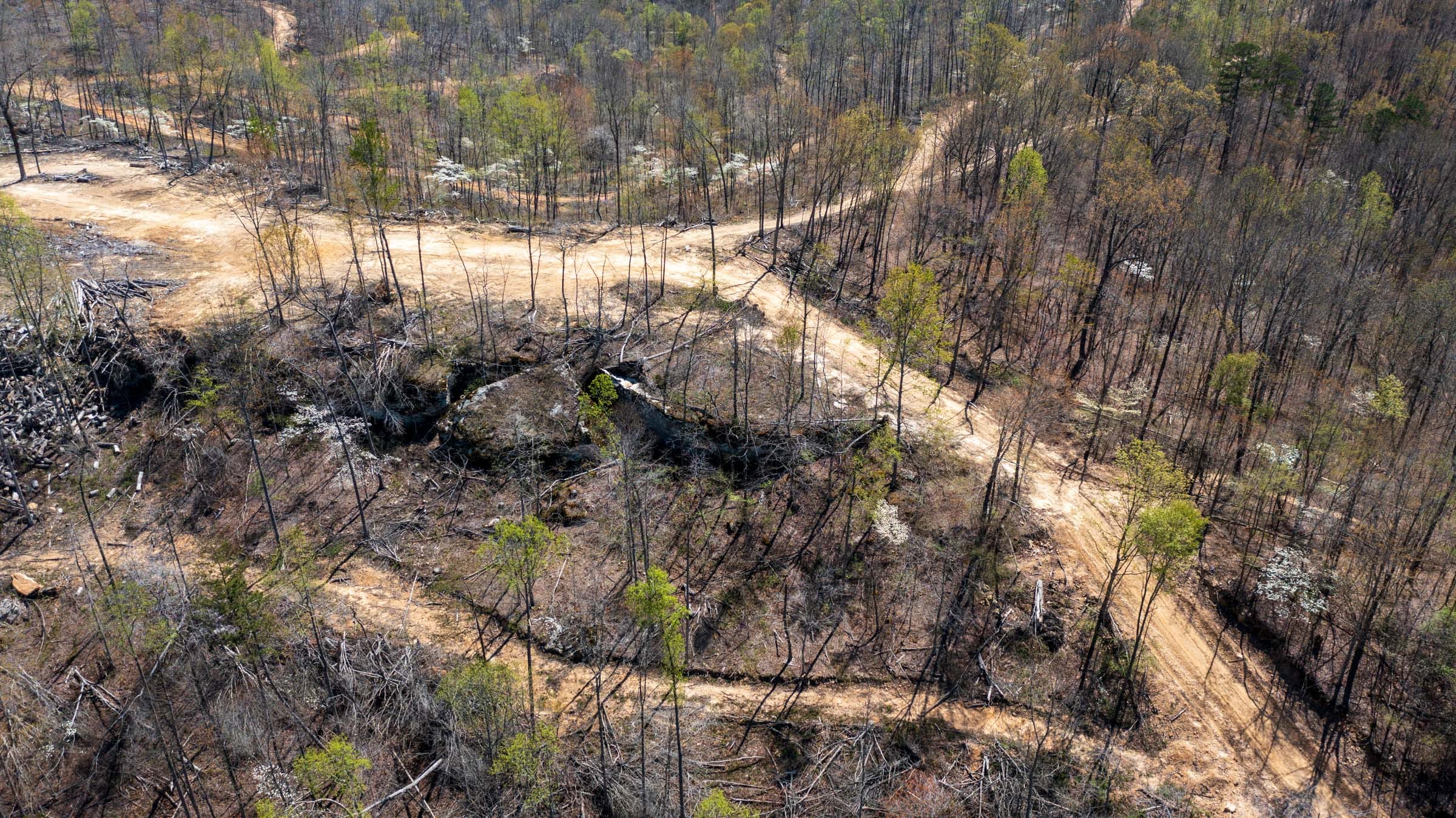 Creek Hollow Phase I Tract 50 photo 8