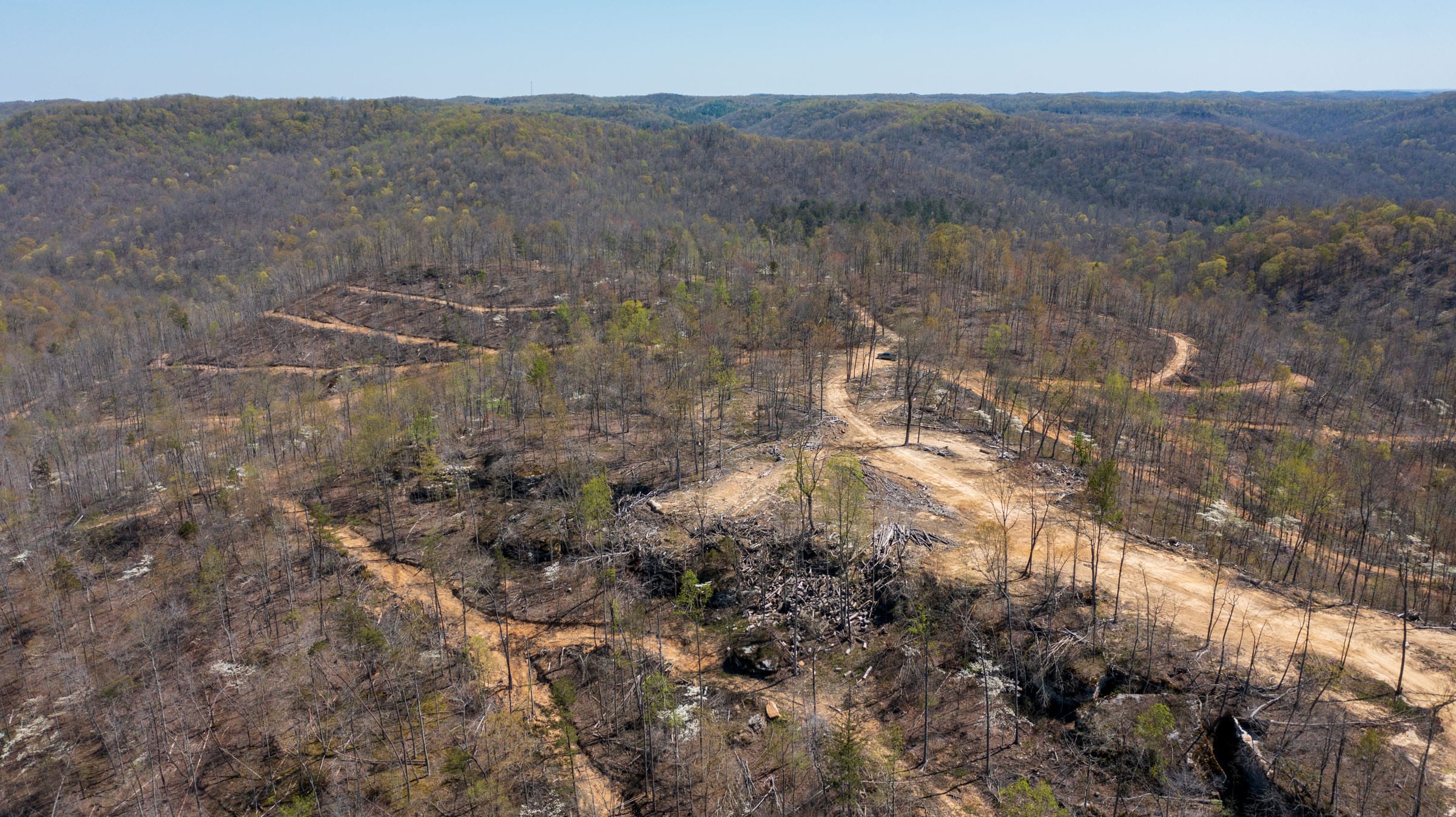 Creek Hollow Phase I Tract 50 photo 9
