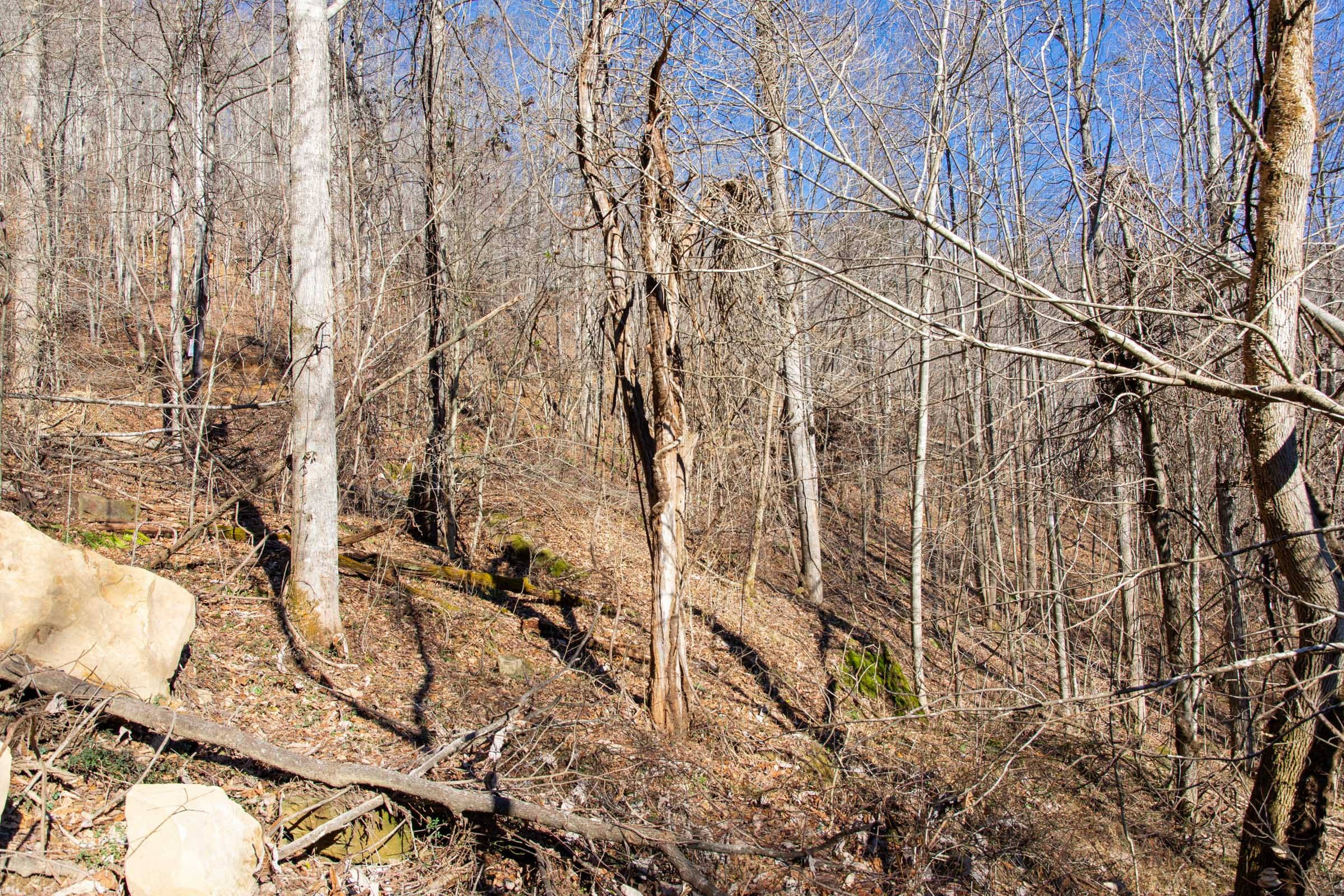 Blackstone Mountain Phase I Tract 28 photo 7