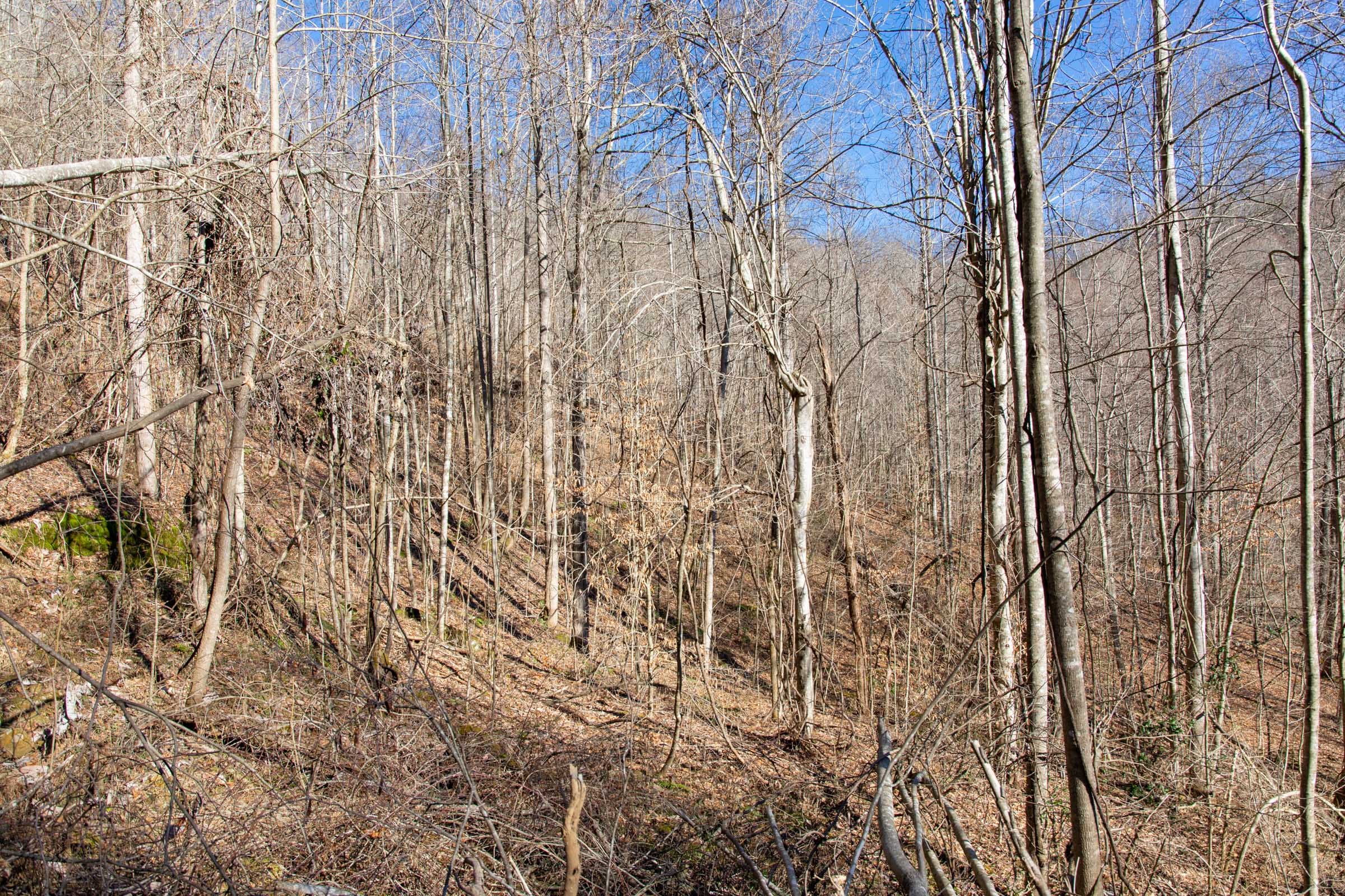 Blackstone Mountain Phase I Tract 28 photo 8