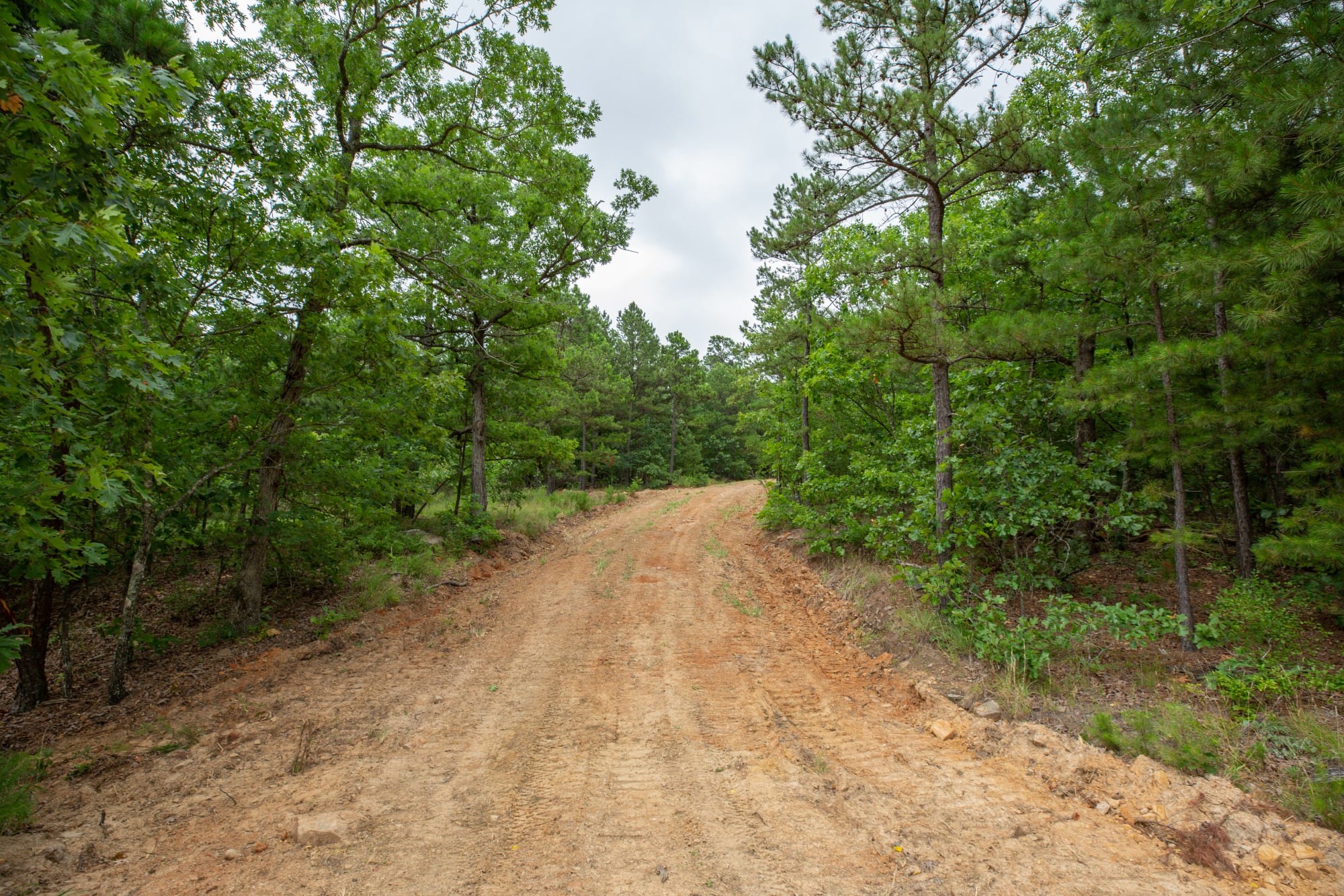 Eagle’s Nest Tract 48 photo 1