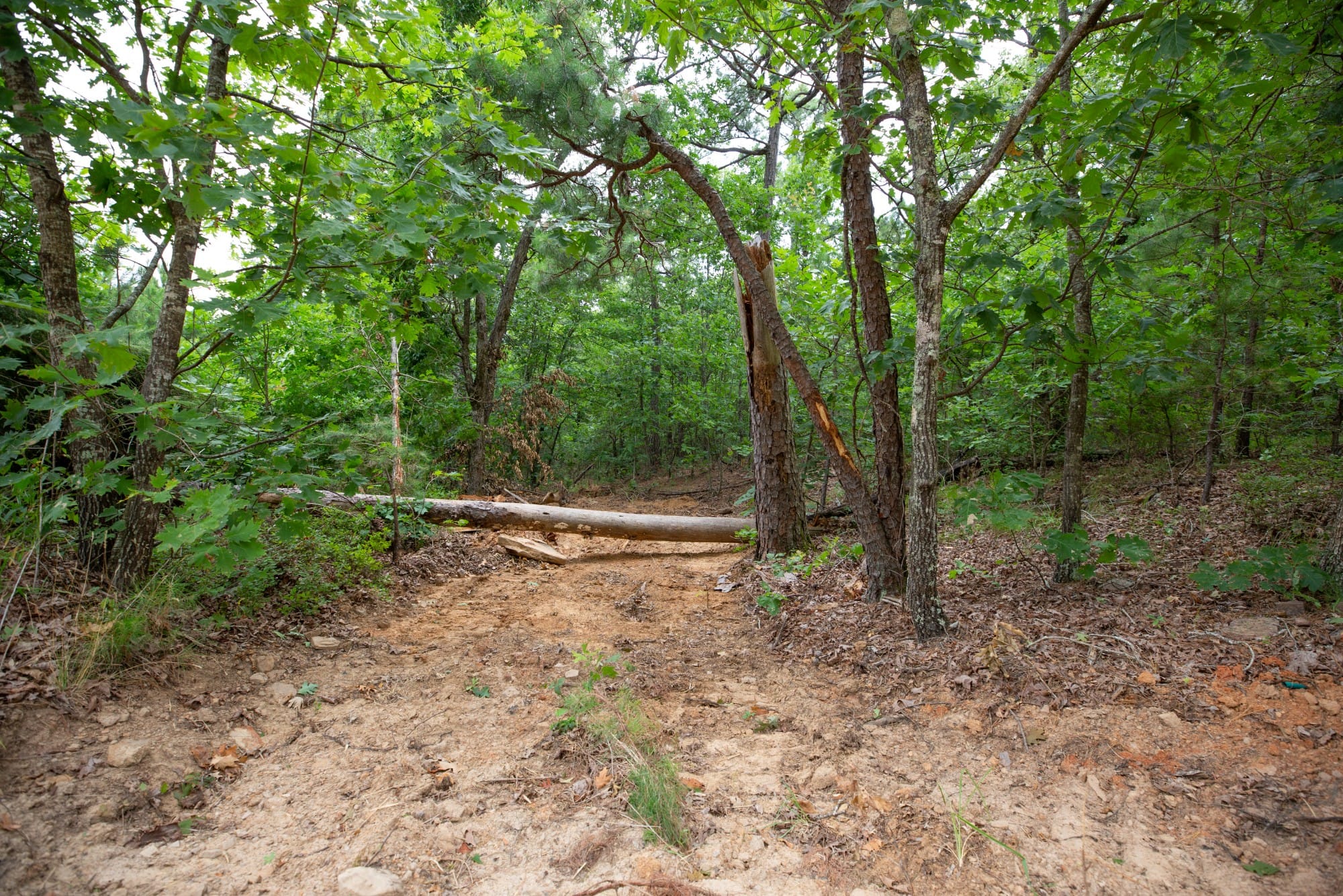 Eagle’s Nest Tract 48 photo 2