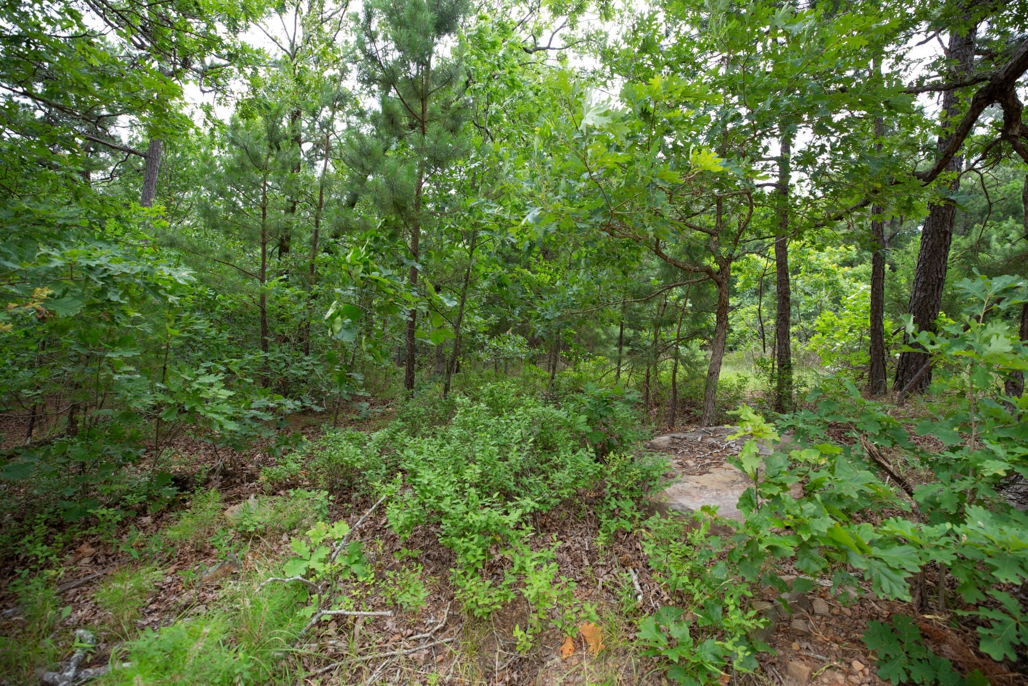 Eagle’s Nest Tract 48 photo 3