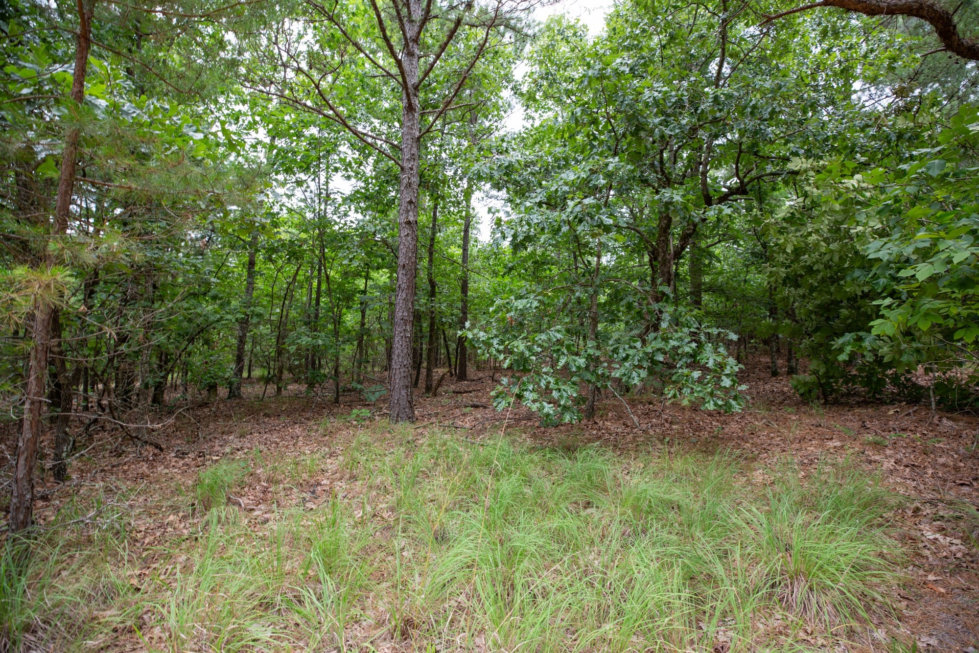Eagle’s Nest Tract 48 photo 10