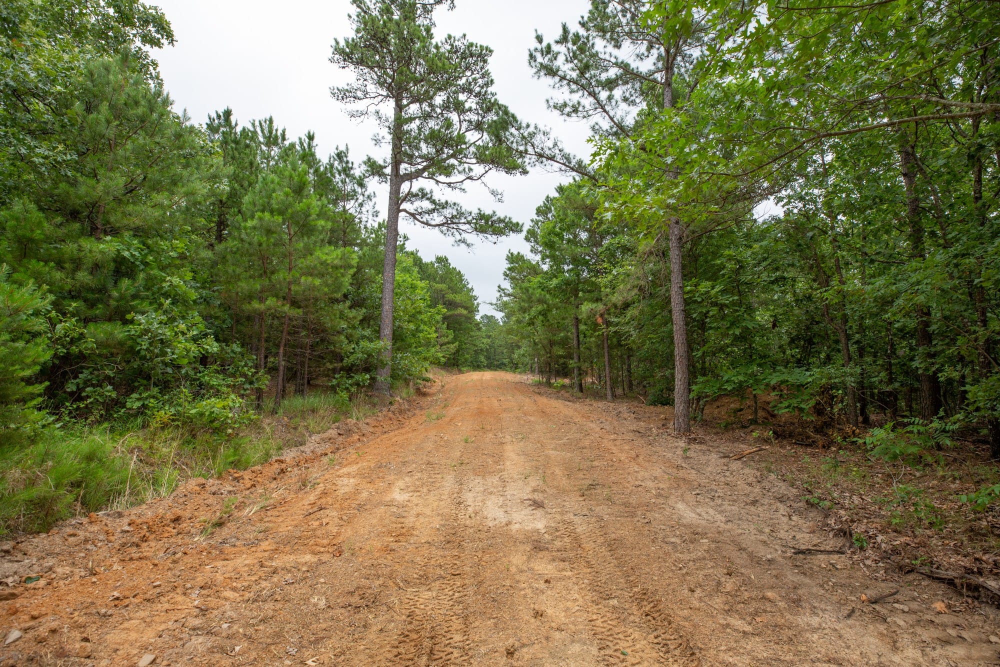 Eagle’s Nest Tract 48 photo 8