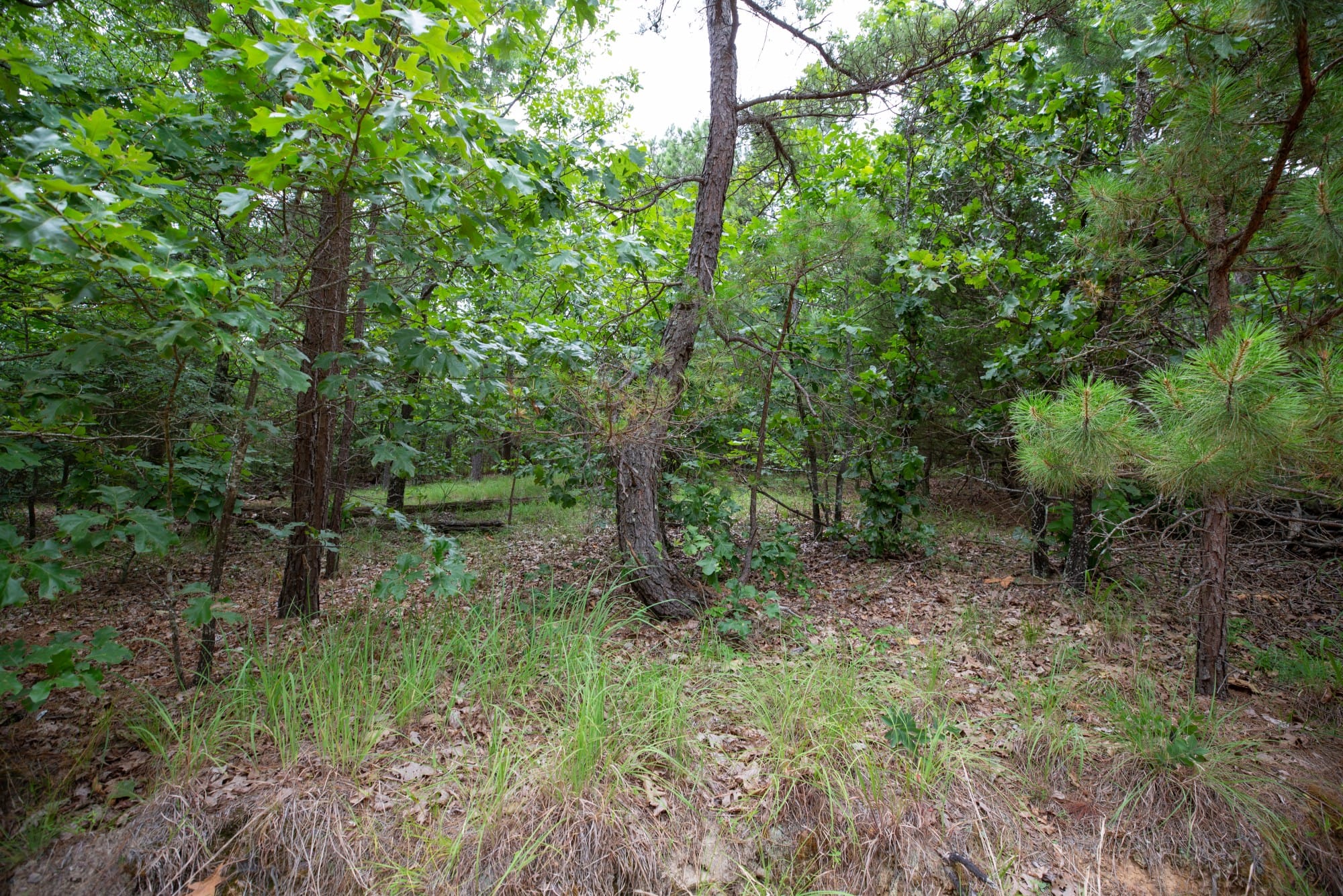 Eagle’s Nest Tract 48 photo 11