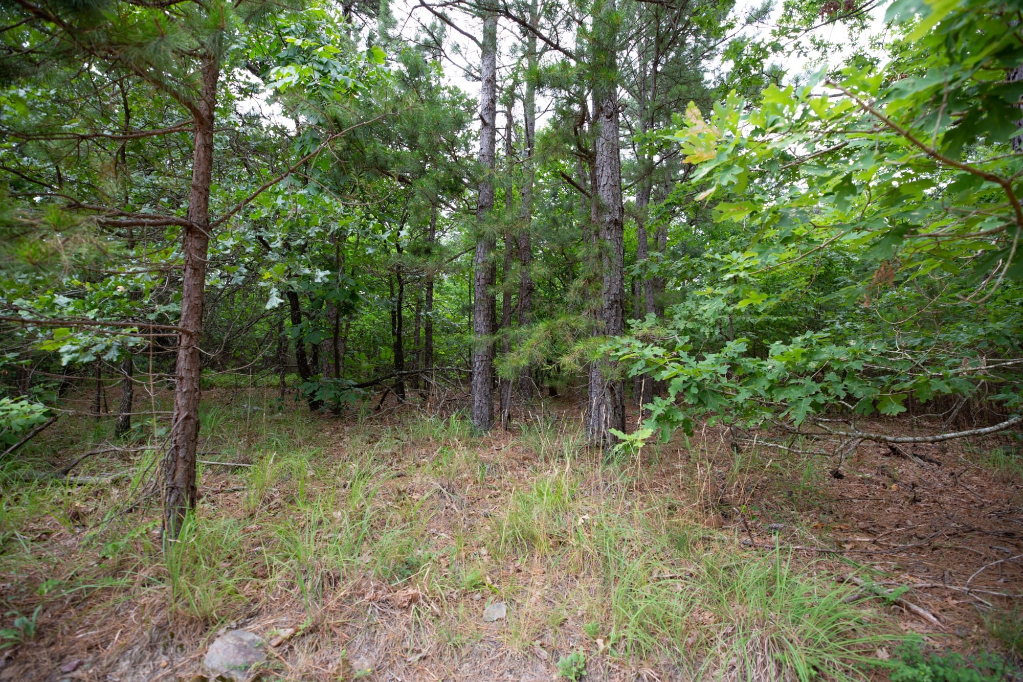 Eagle’s Nest Tract 48 photo 12