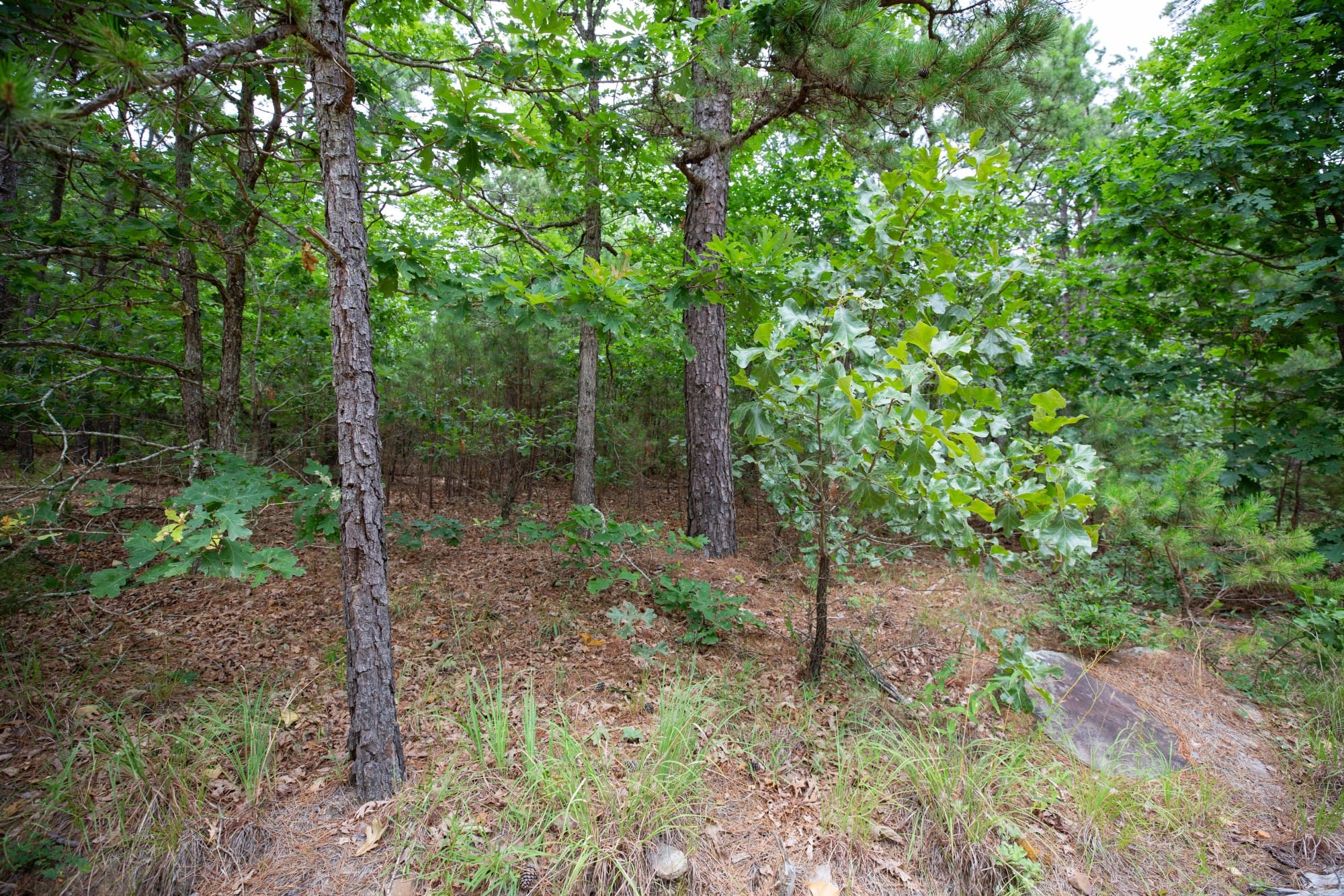Eagle’s Nest Tract 48 photo 13
