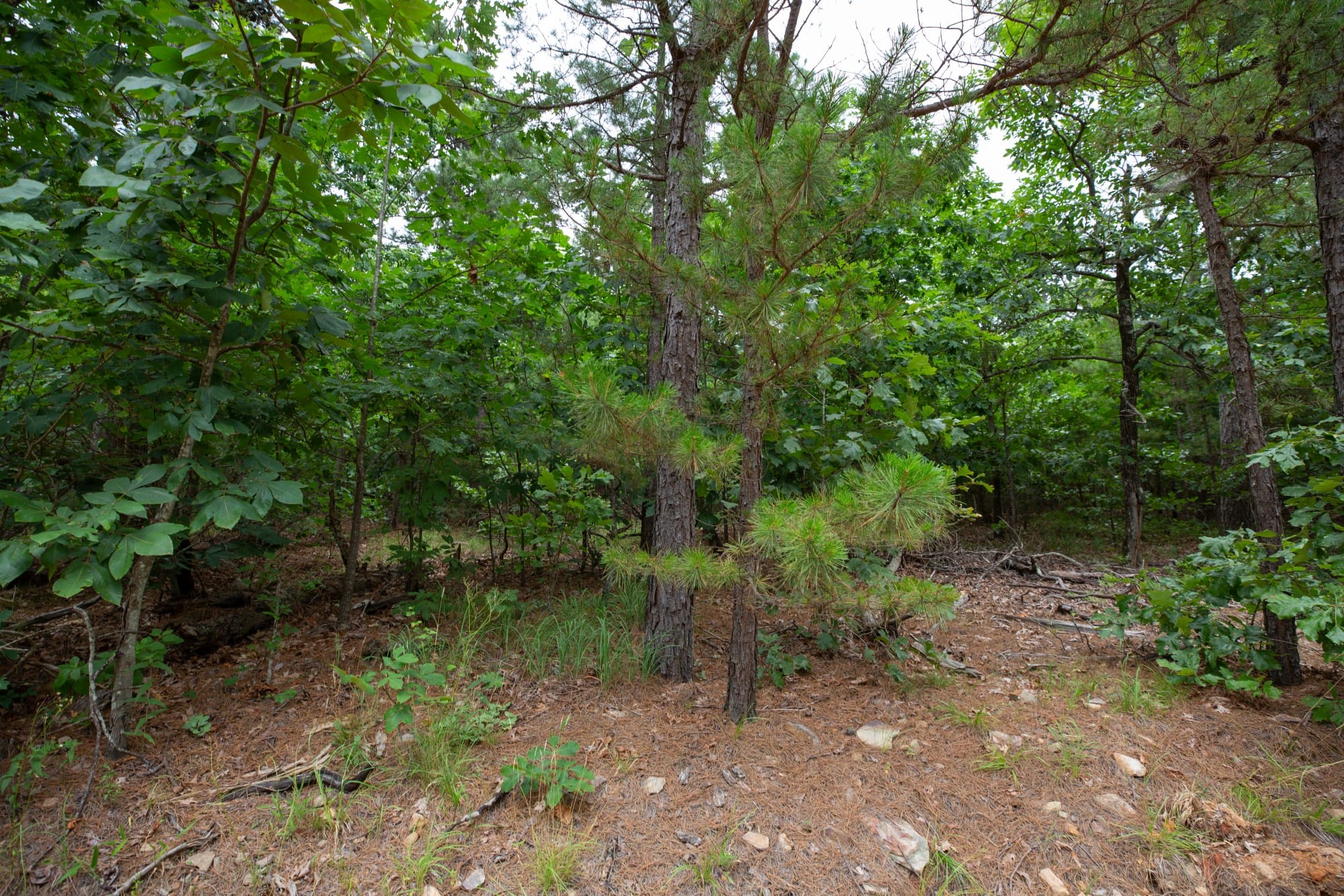 Eagle’s Nest Tract 48 photo 14