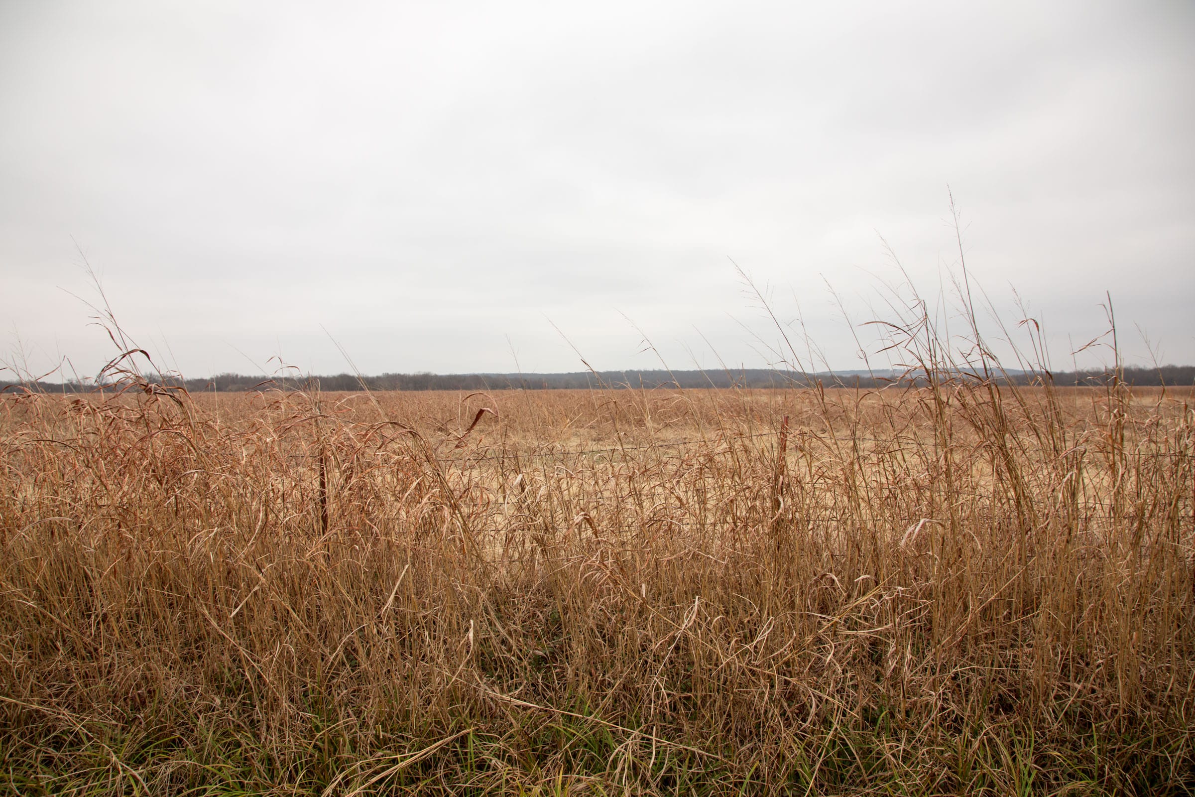 Canadian Plains Tract 34 photo 5