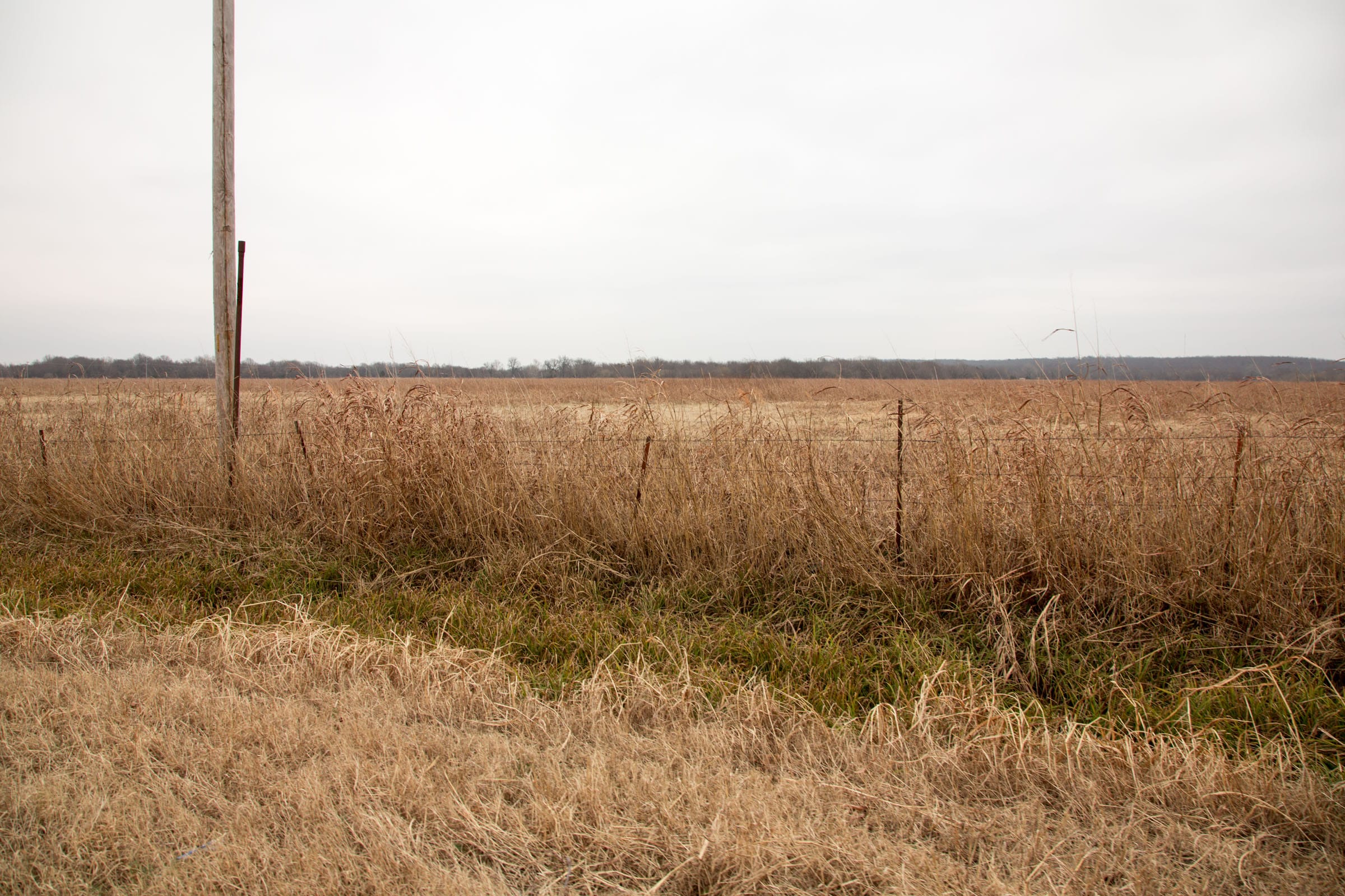 Canadian Plains Tract 34 photo 4