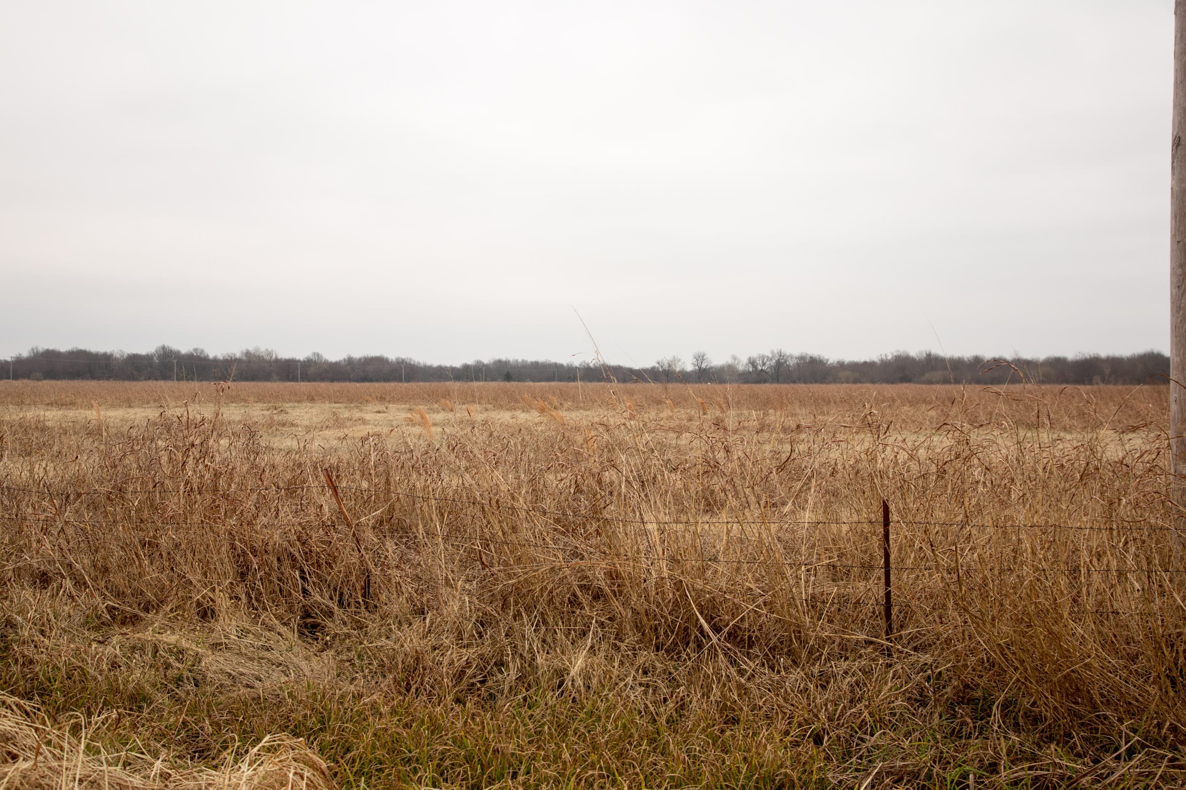 Canadian Plains Tract 34 photo 10