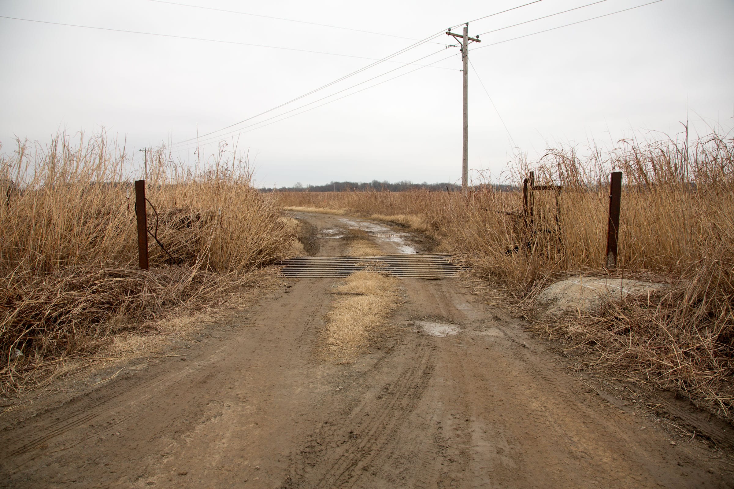 Canadian Plains Tract 34 photo 7